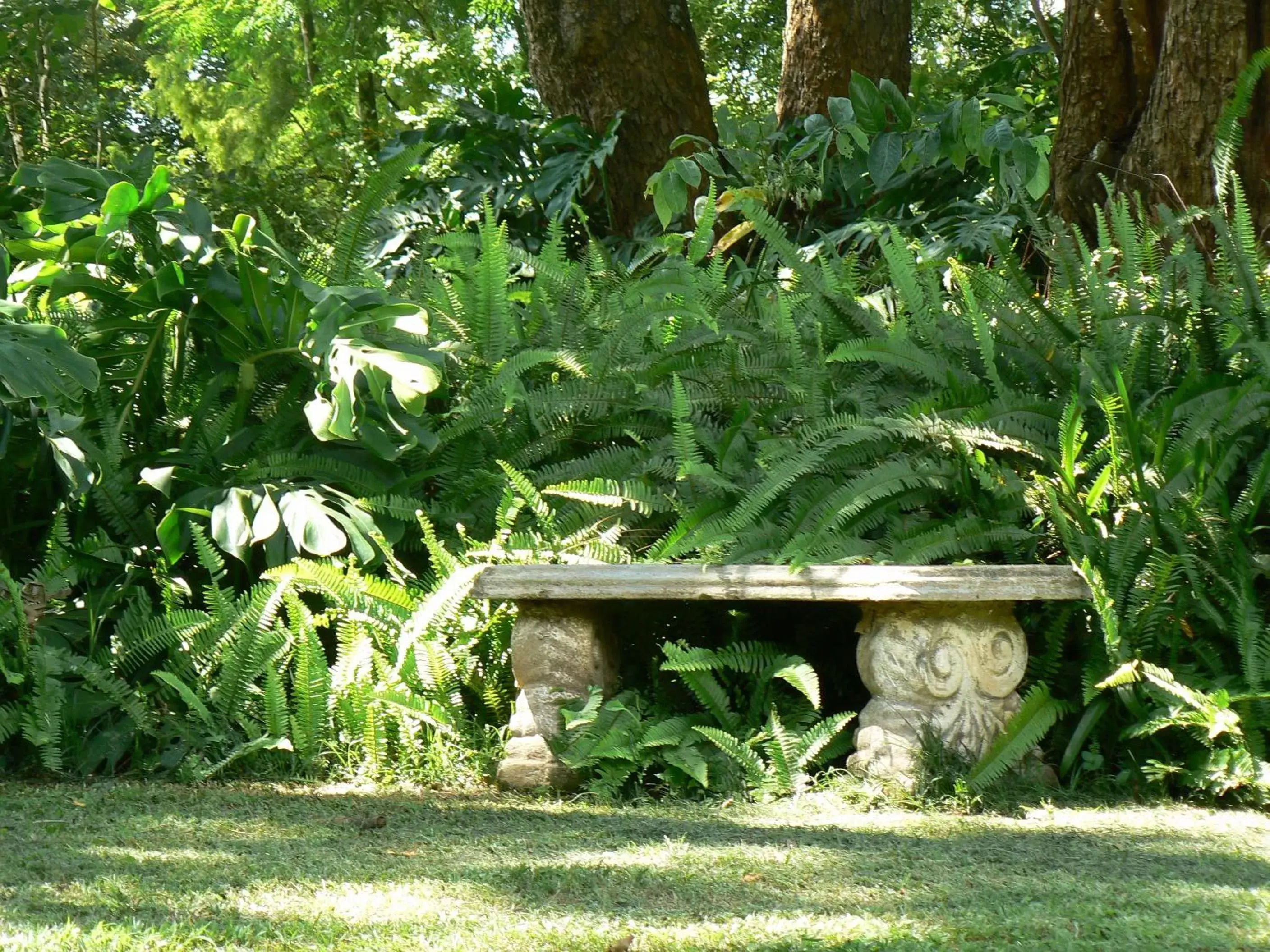 Garden in Nut Grove Manor Boutique Hotel