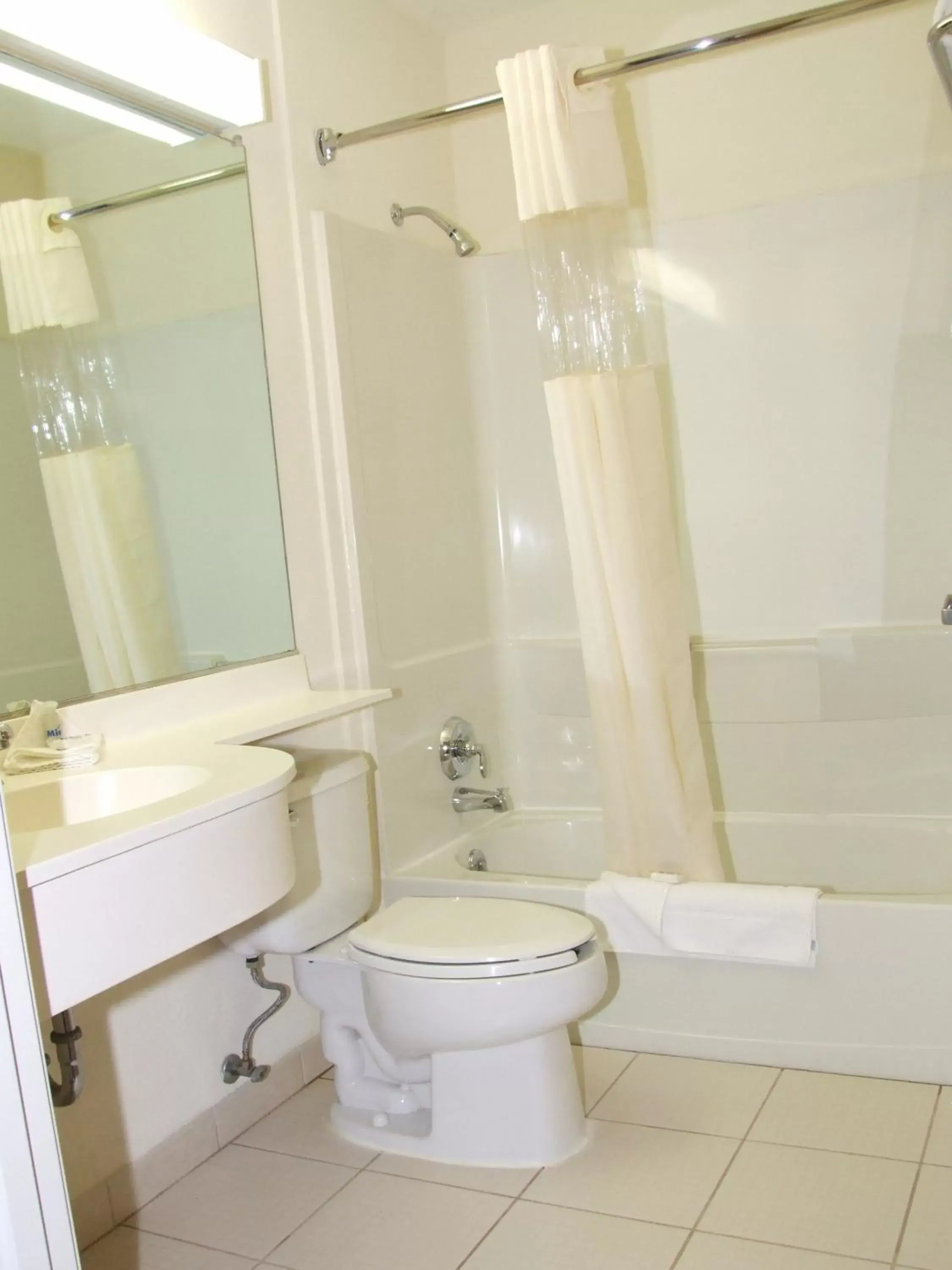 Bathroom in Microtel Inn & Suites by Wyndham Culiacán