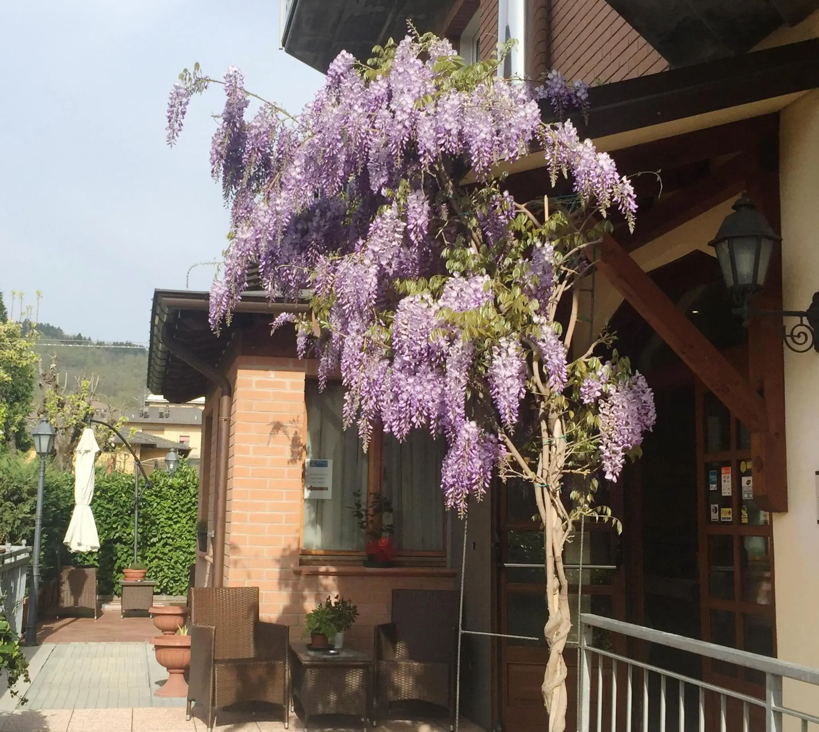 Property Building in Hotel Ferro di Cavallo