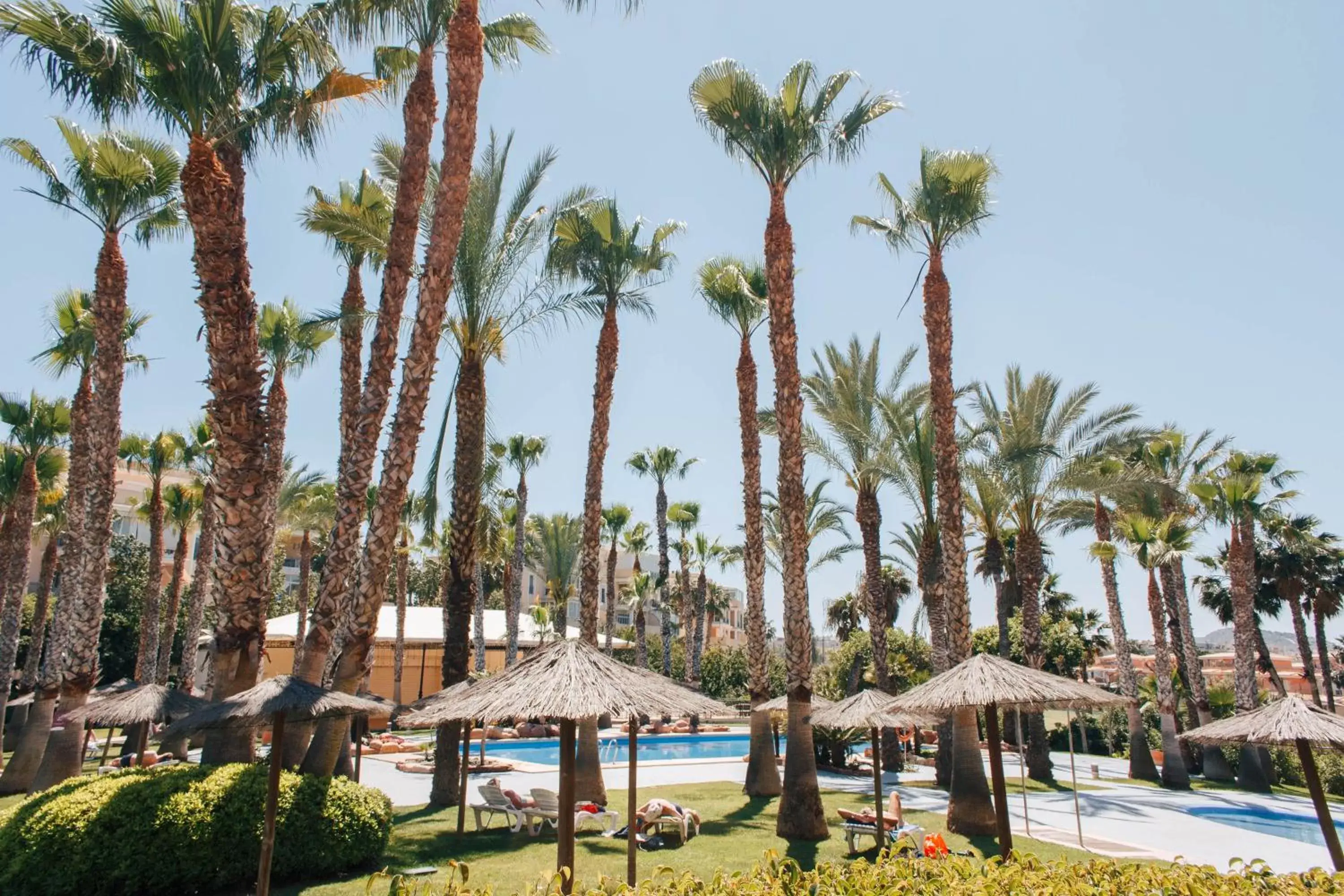 Swimming Pool in Hotel Alicante Golf