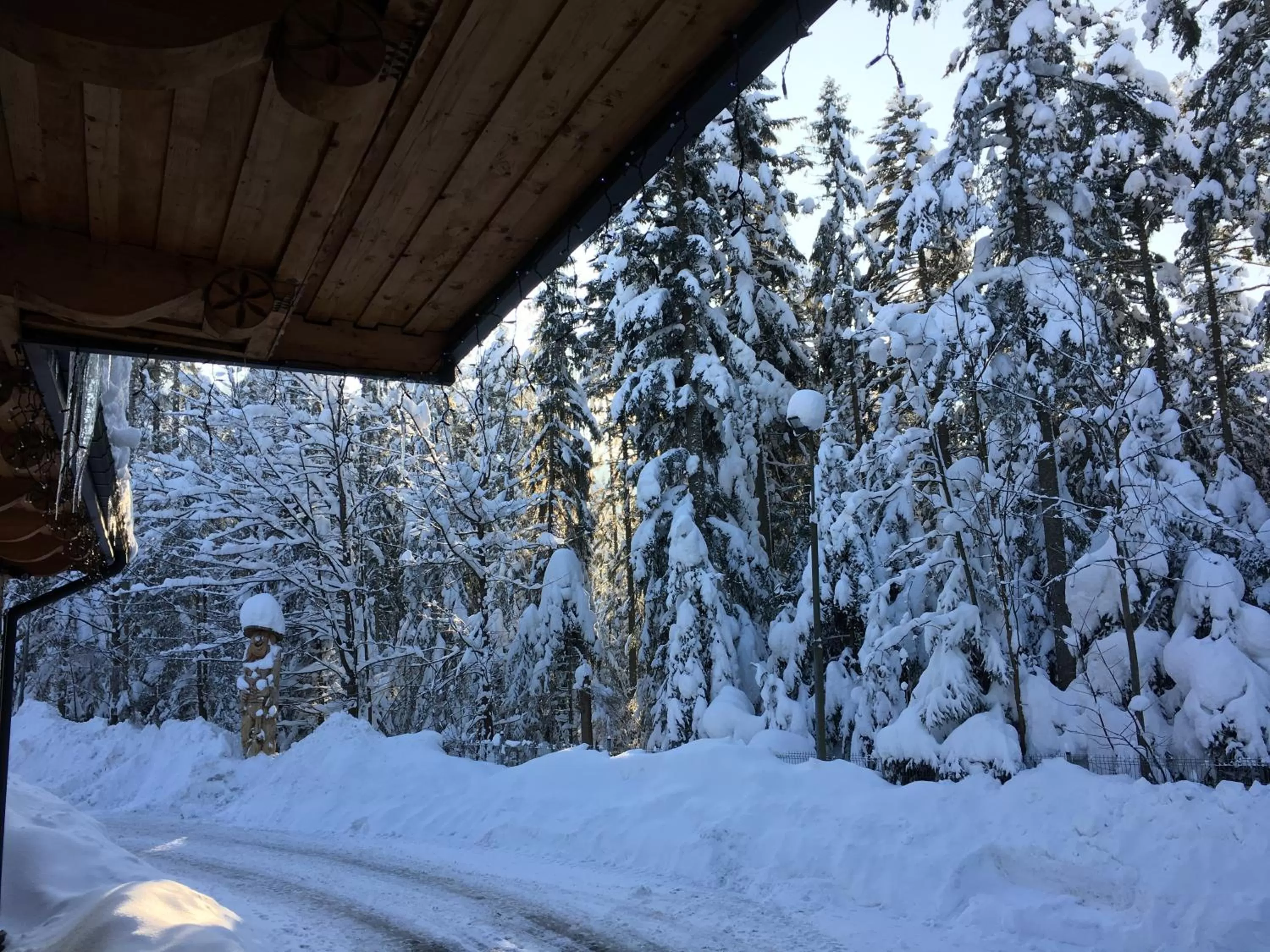 View (from property/room) in Hotel Dwór Karolówka