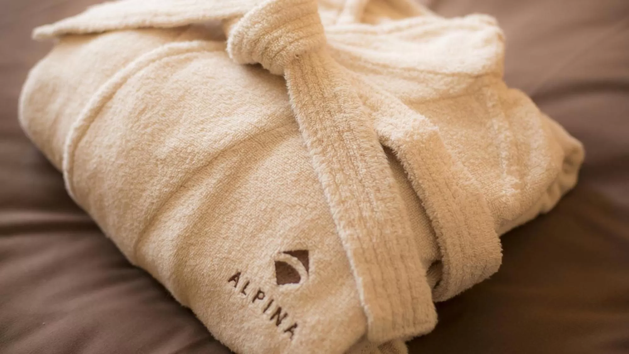 Area and facilities in Spa Hotel Alpina Hida Takayama