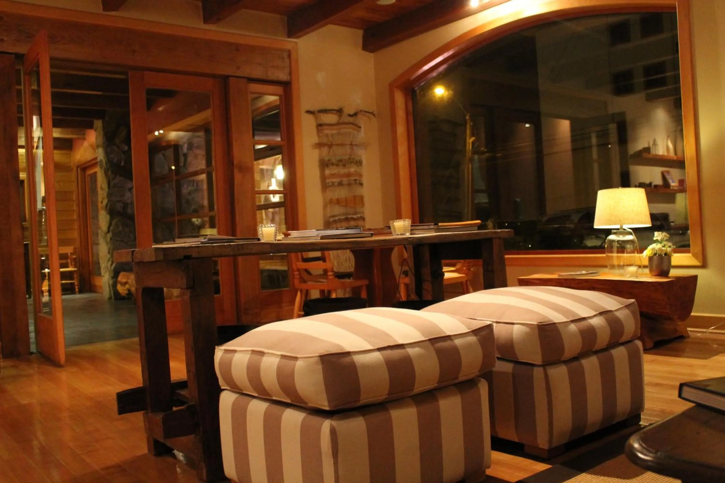 Living room in Hotel Puelche