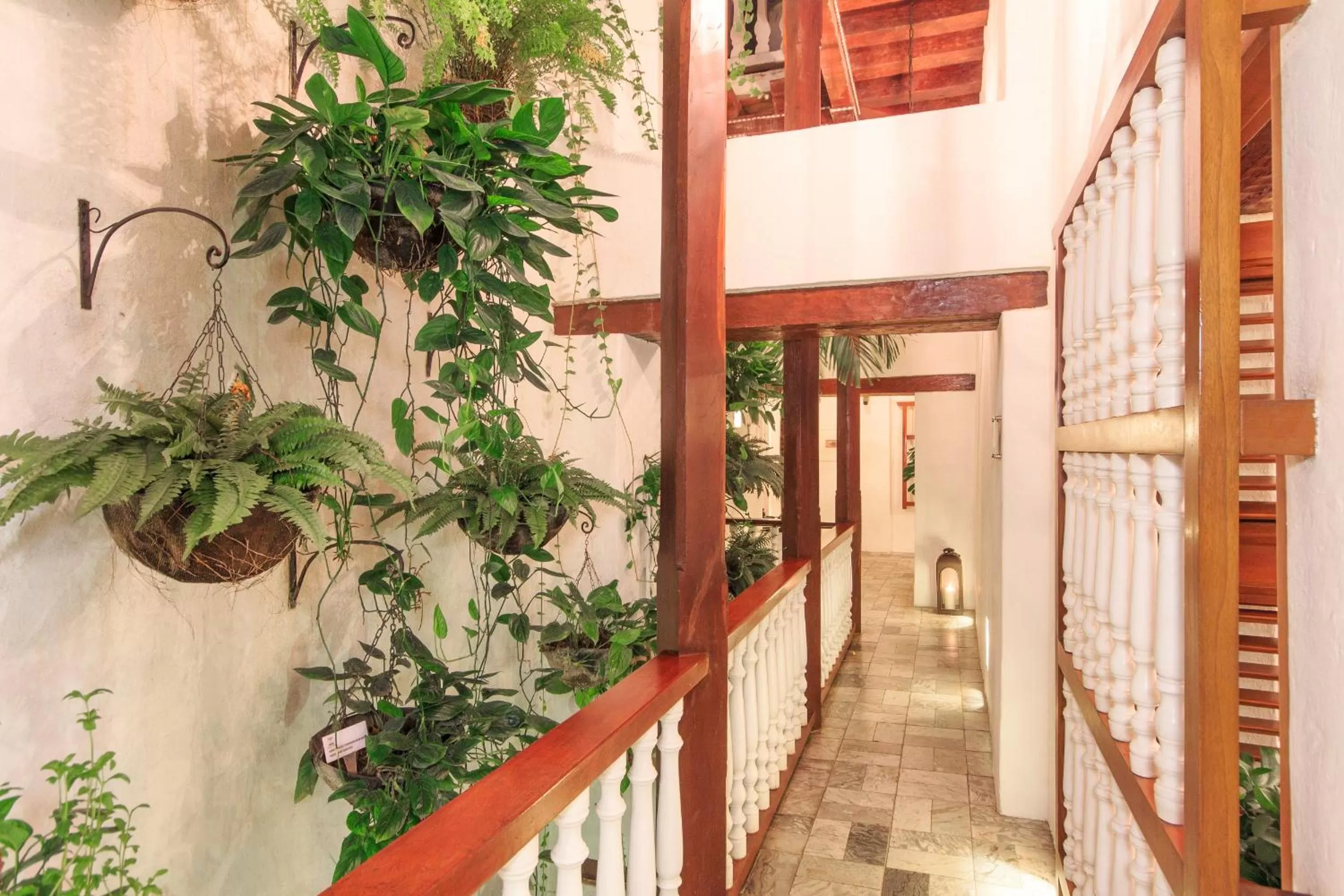 Property building in Hotel Boutique Casa del Coliseo