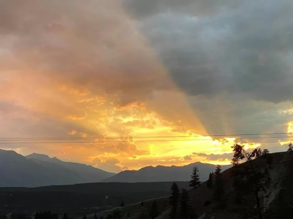 View (from property/room) in Misty River Lodge