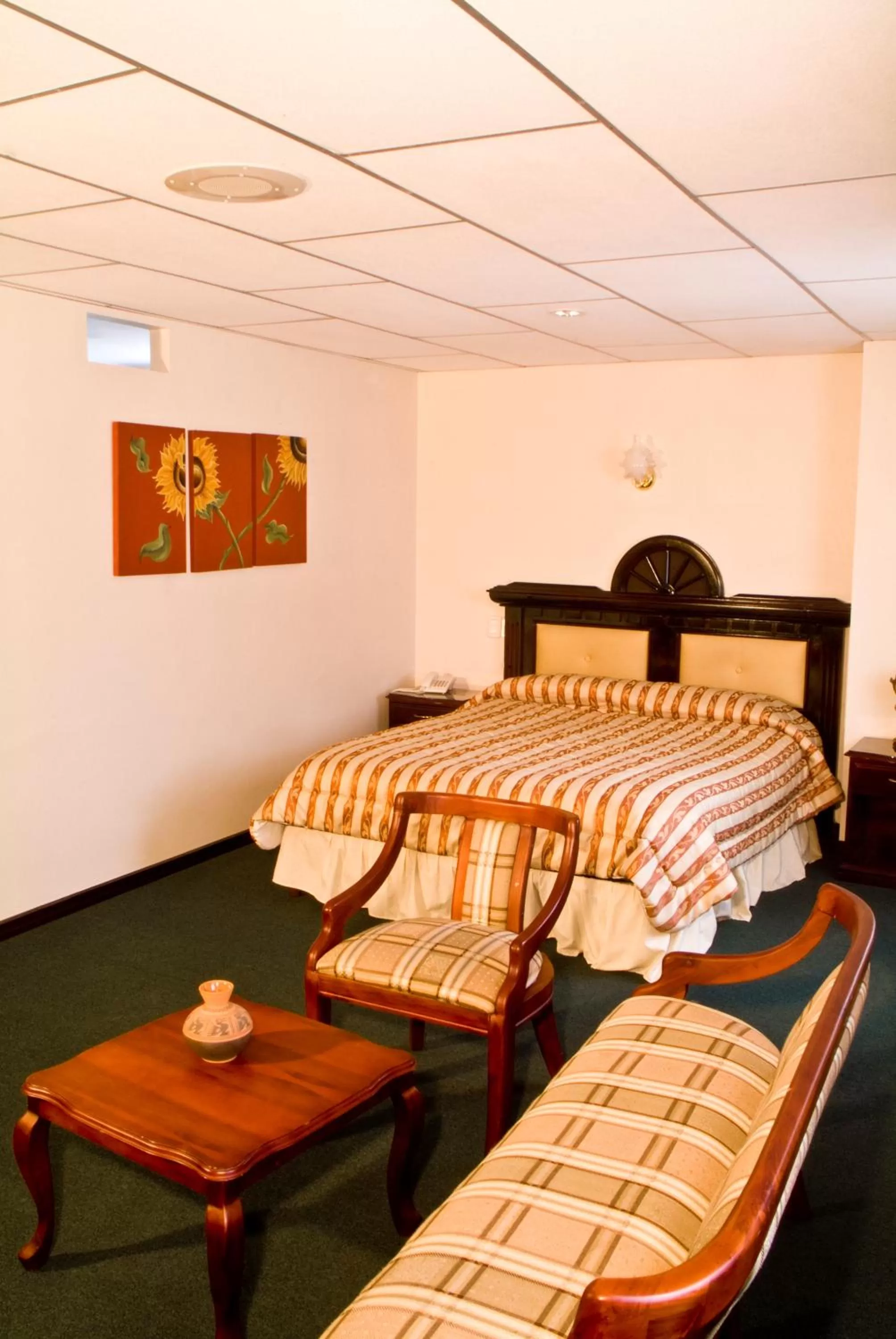 Photo of the whole room in Hotel Podocarpus