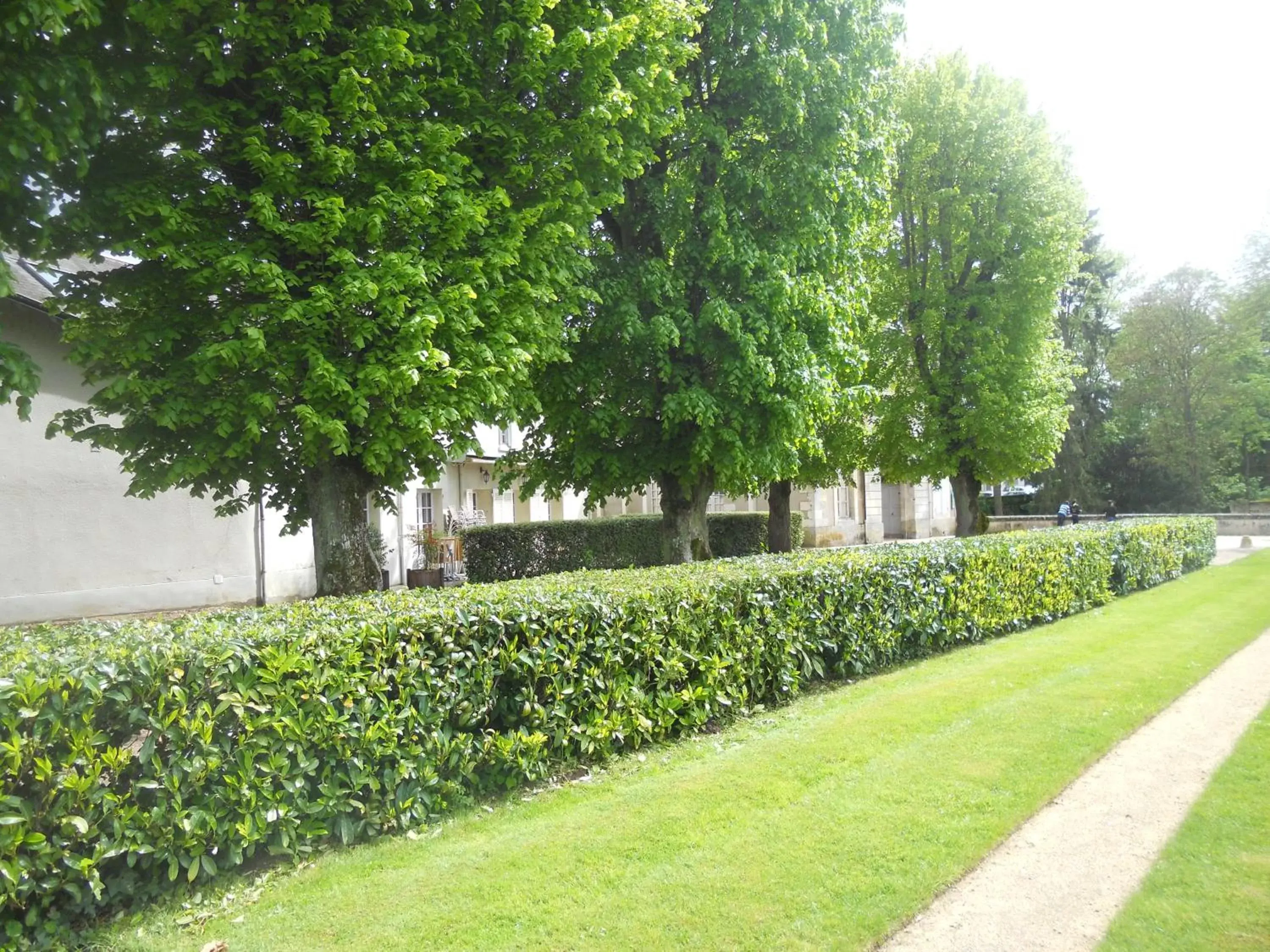 Area and facilities, Garden in Hôtel La Capitainerie