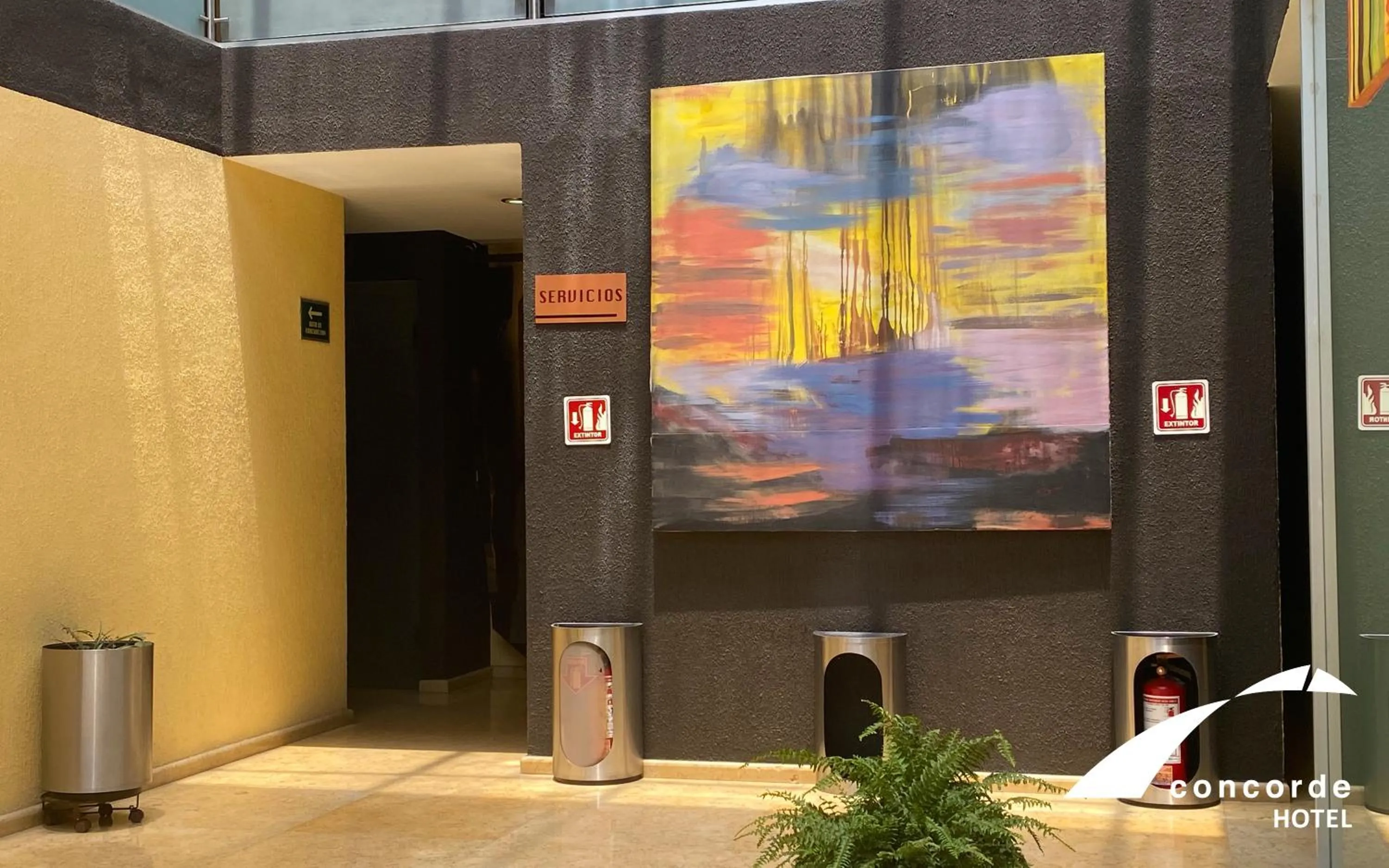 Area and facilities in Hotel Concorde Toluca