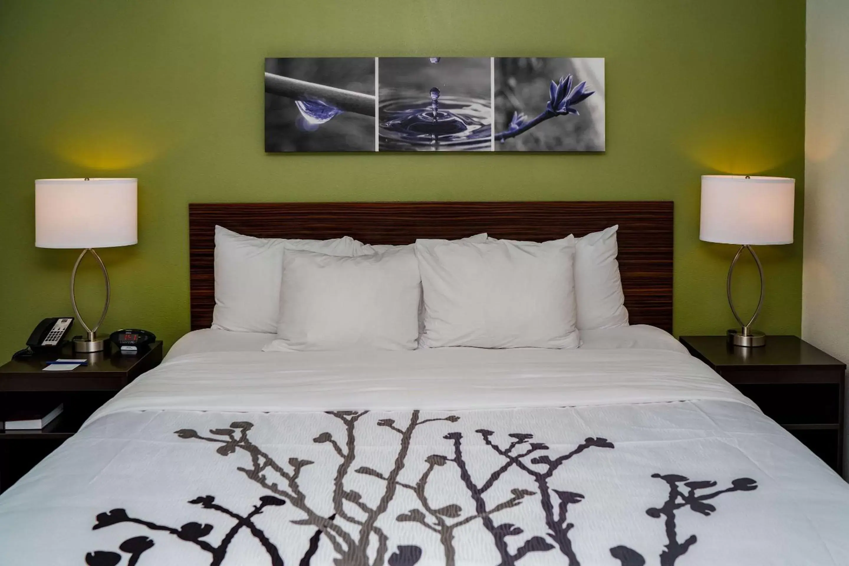 King Room - Accessible/Non-Smoking in Sleep Inn at Discovery Park of America King Room - Accessible/Non-Smoking in Sleep Inn at Discovery Park of America