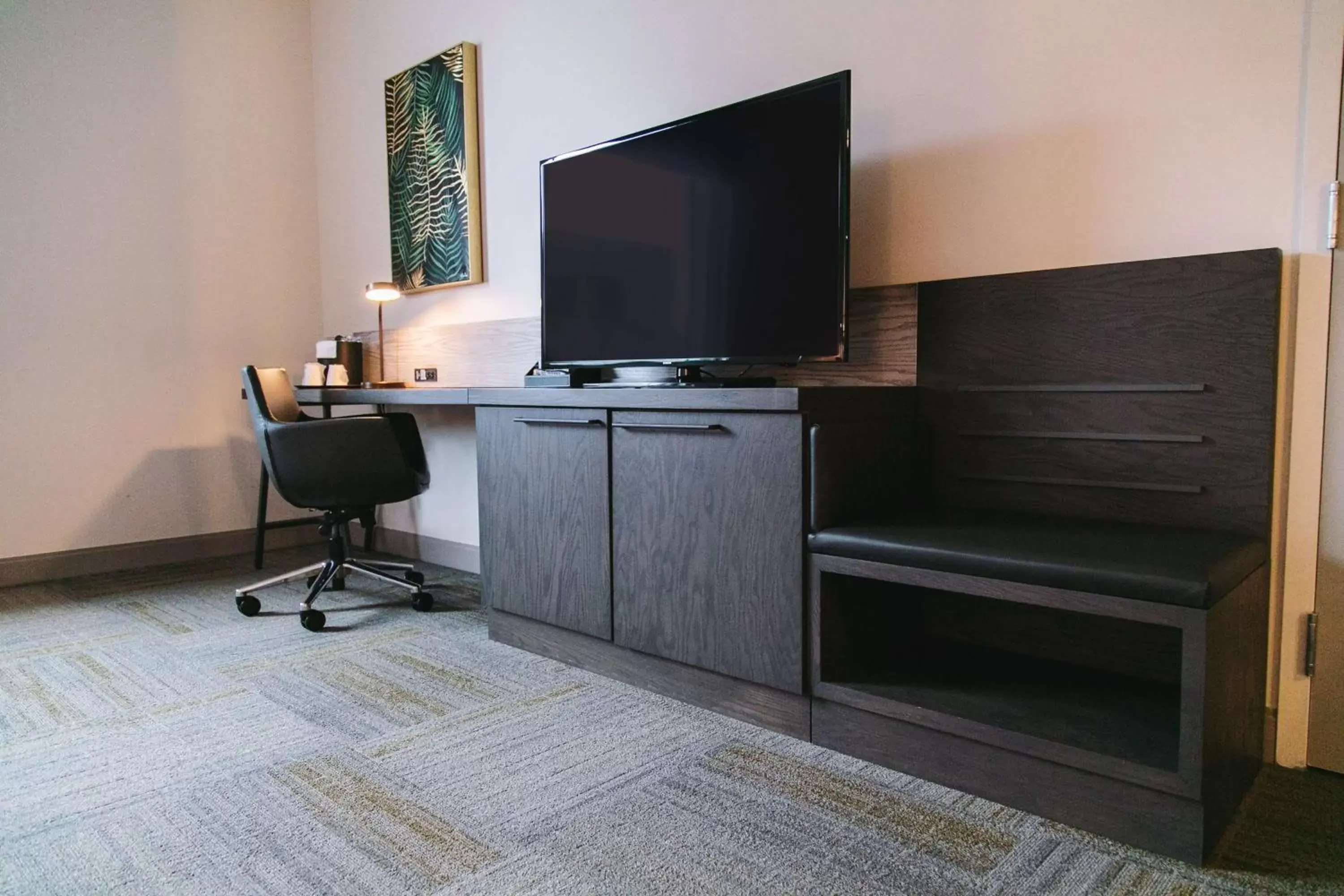 Bedroom, TV/Entertainment Center in Hilton Garden Inn Fredericton