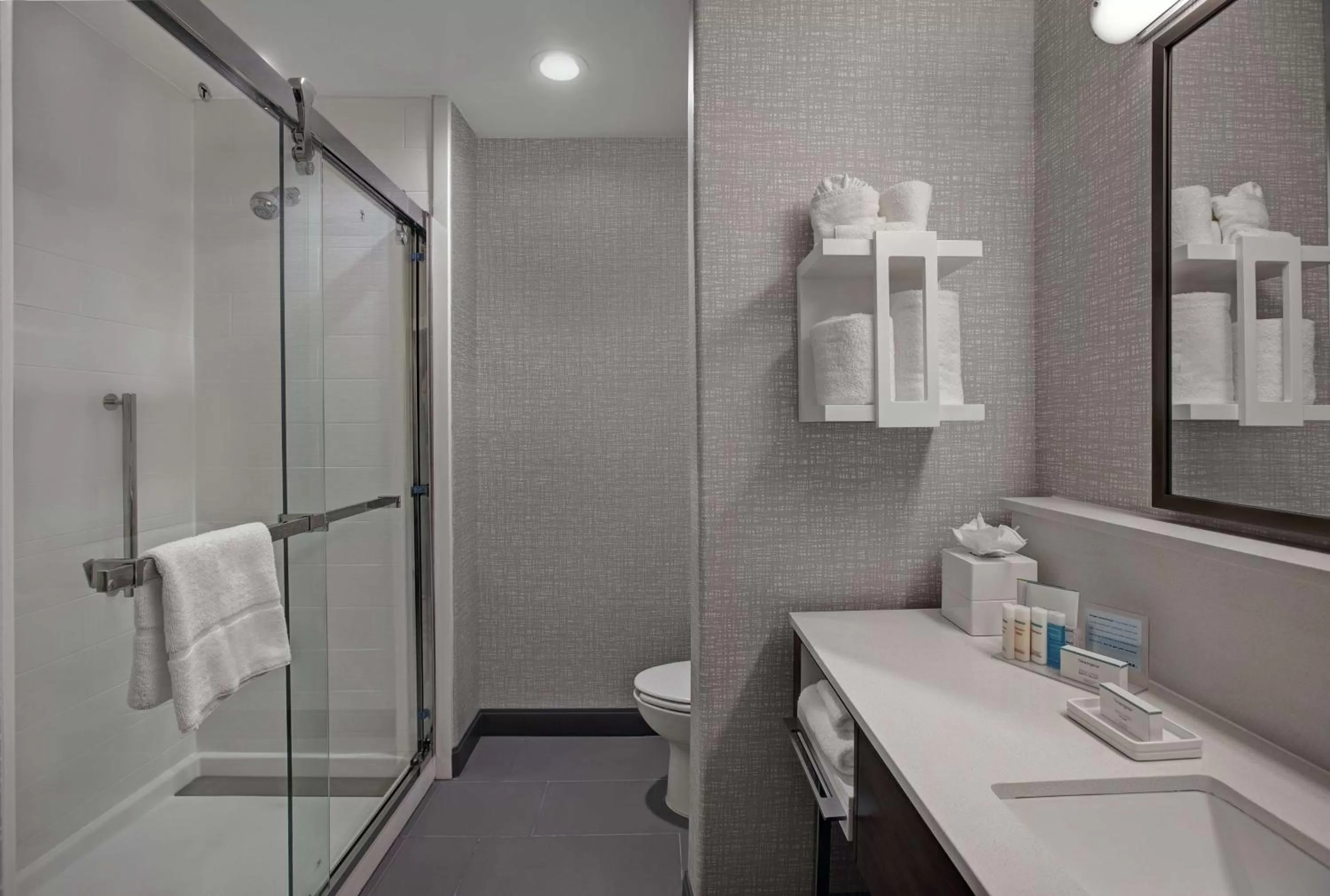 Bathroom in Hampton Inn Weslaco