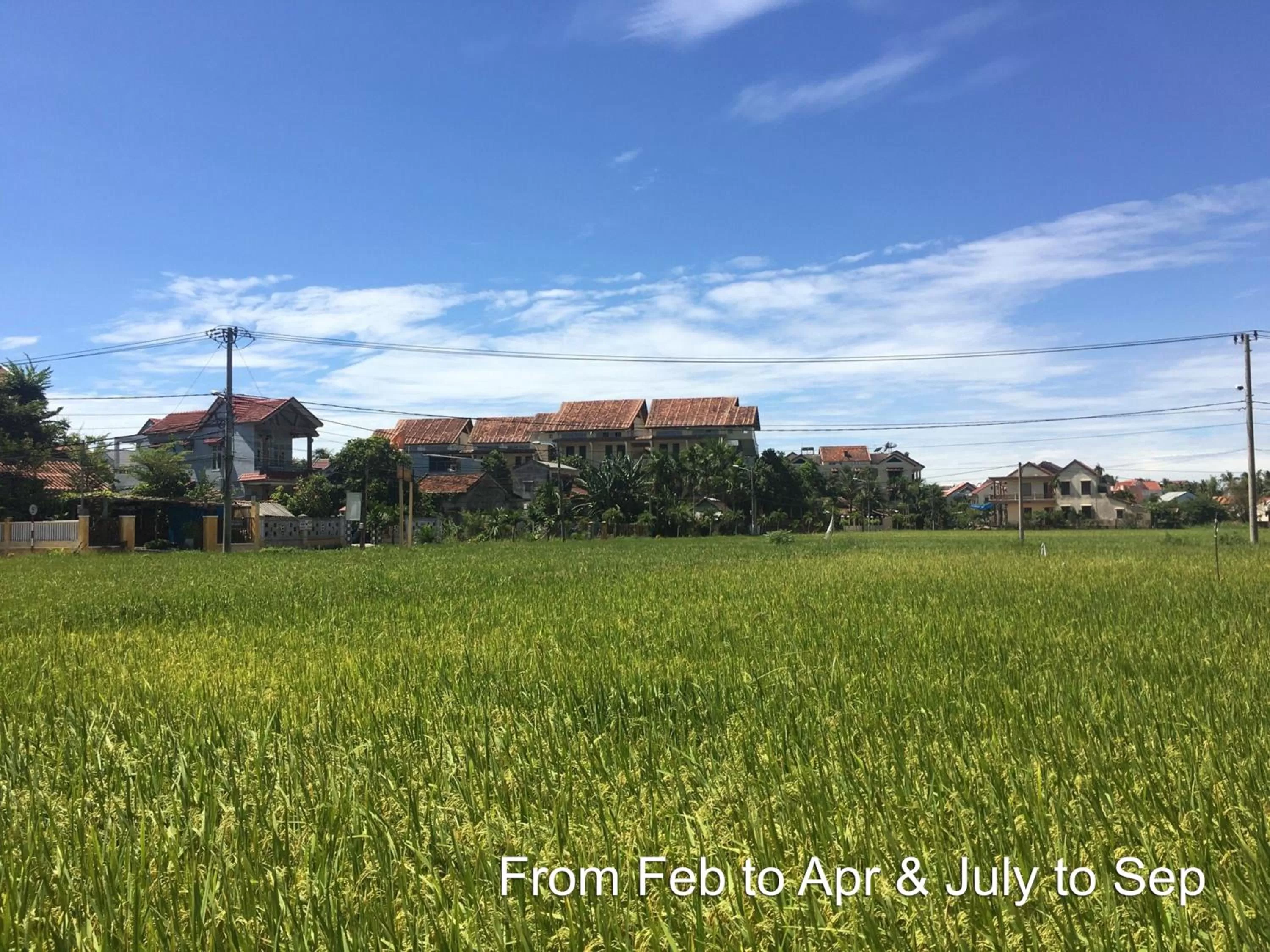 Neighbourhood in Hoi An Chic - Green Retreat