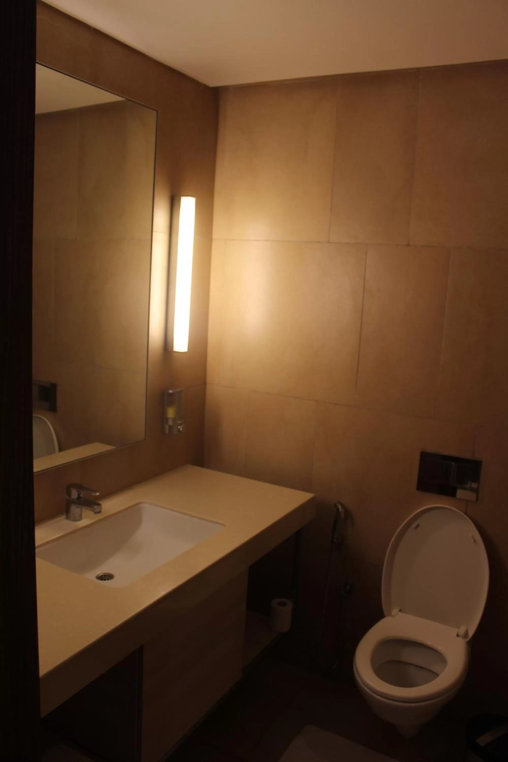 Toilet, Bathroom in Jakson Inns