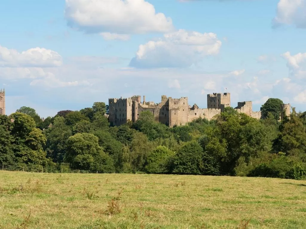 Other in The Cliffe at Dinham