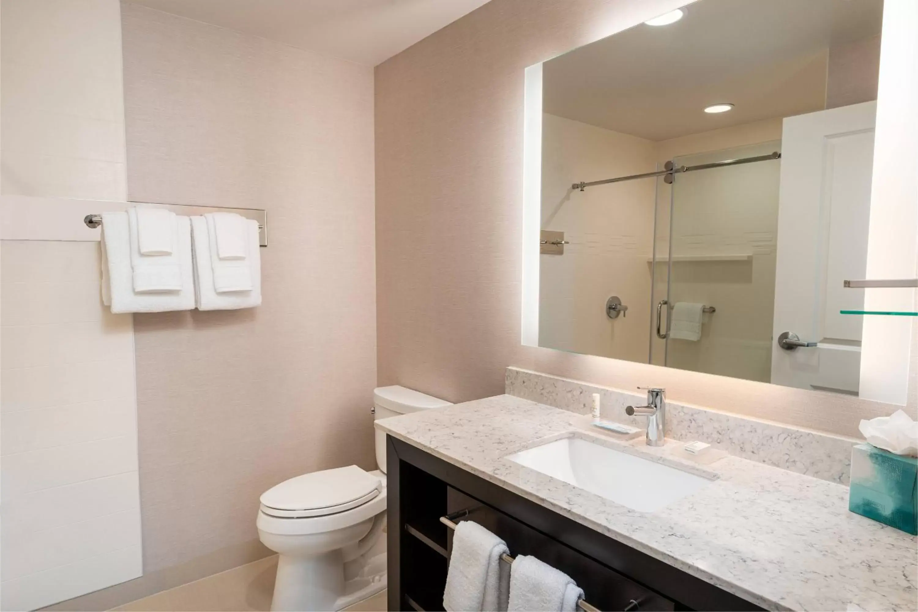 Bathroom in Residence Inn by Marriott Grand Rapids Downtown