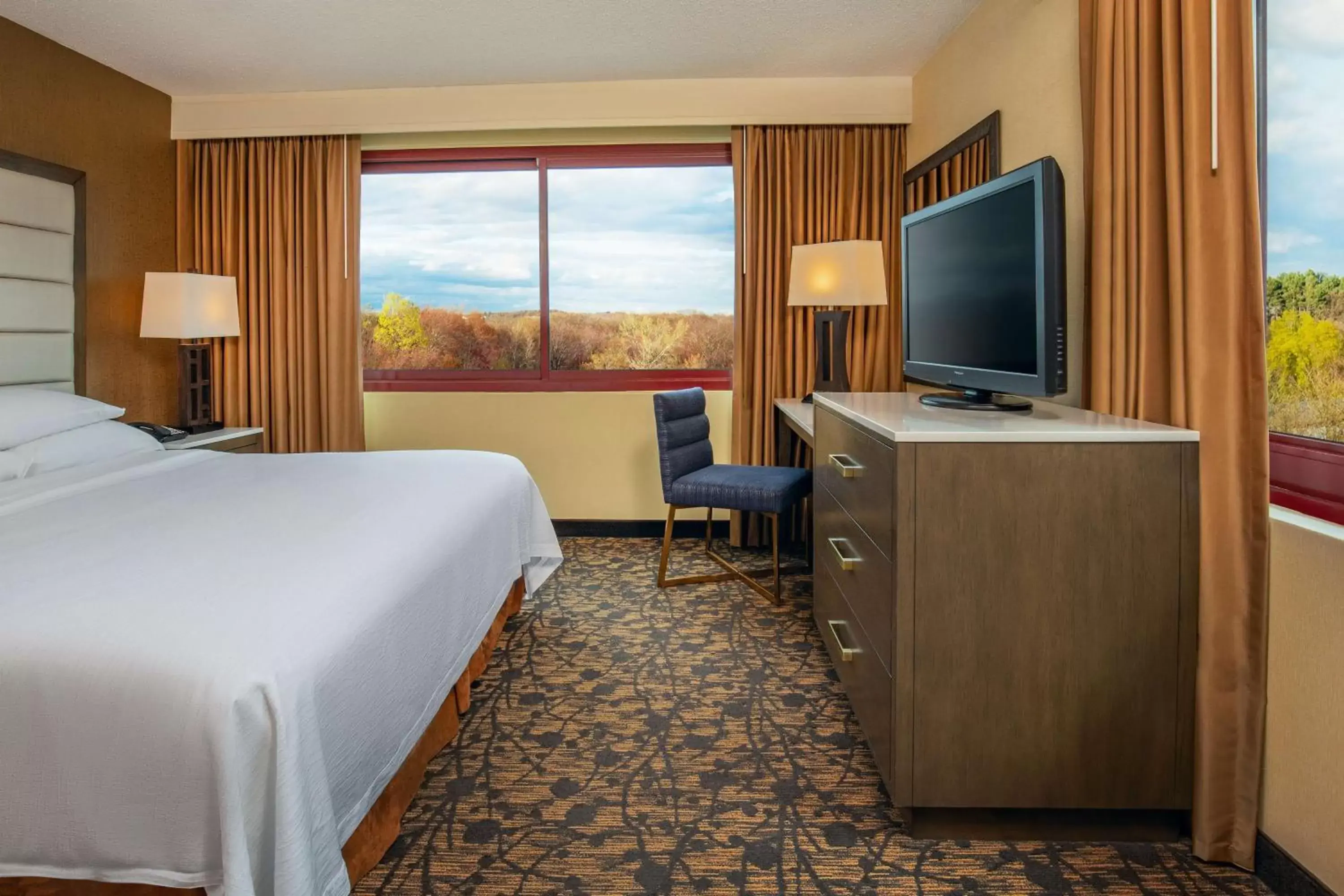 Bedroom, TV/Entertainment Center in Embassy Suites by Hilton Boston Waltham