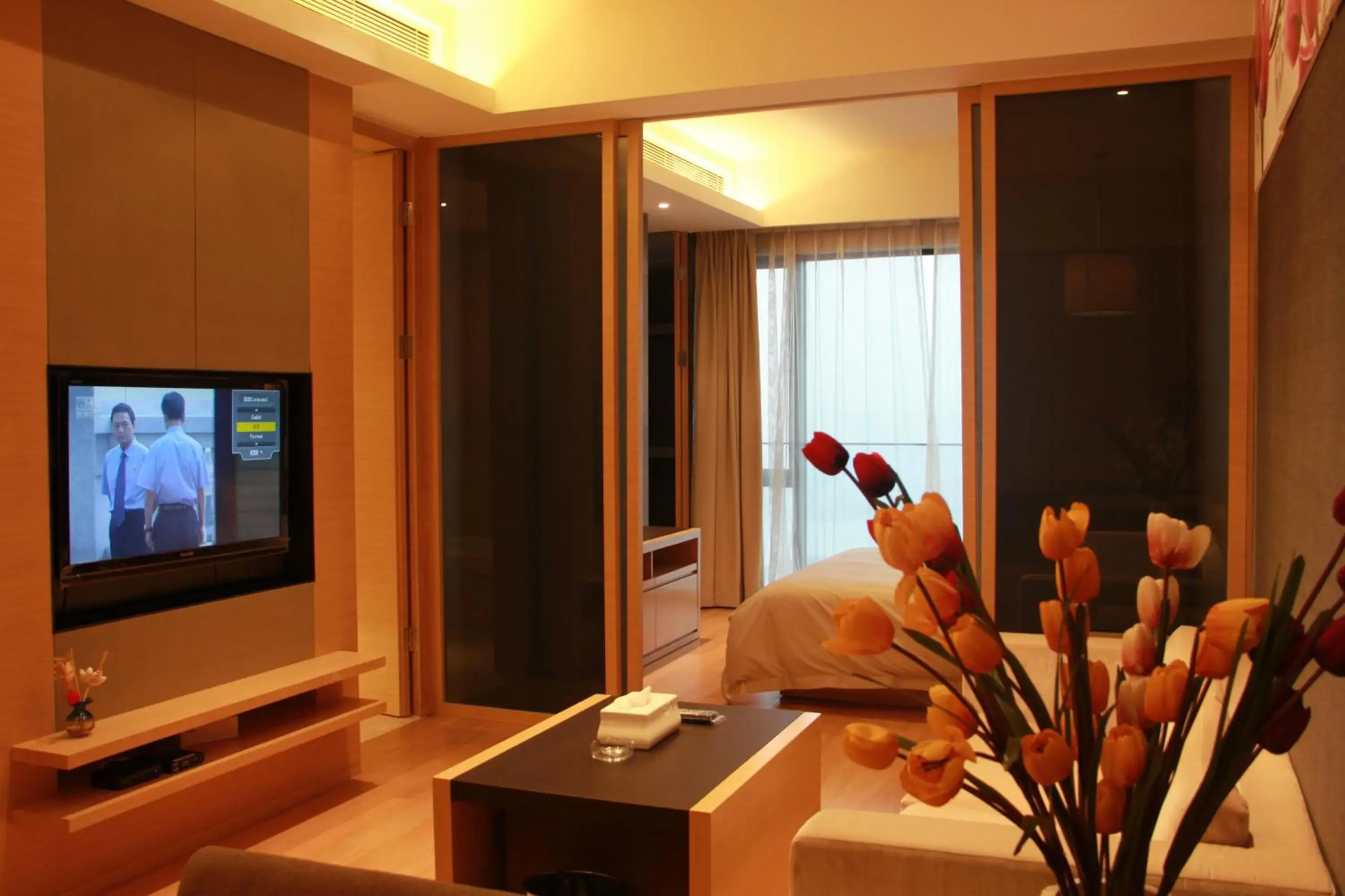 Living room, TV/Entertainment Center in Guangzhou Xing Yi International Apartment - Poly World Branch