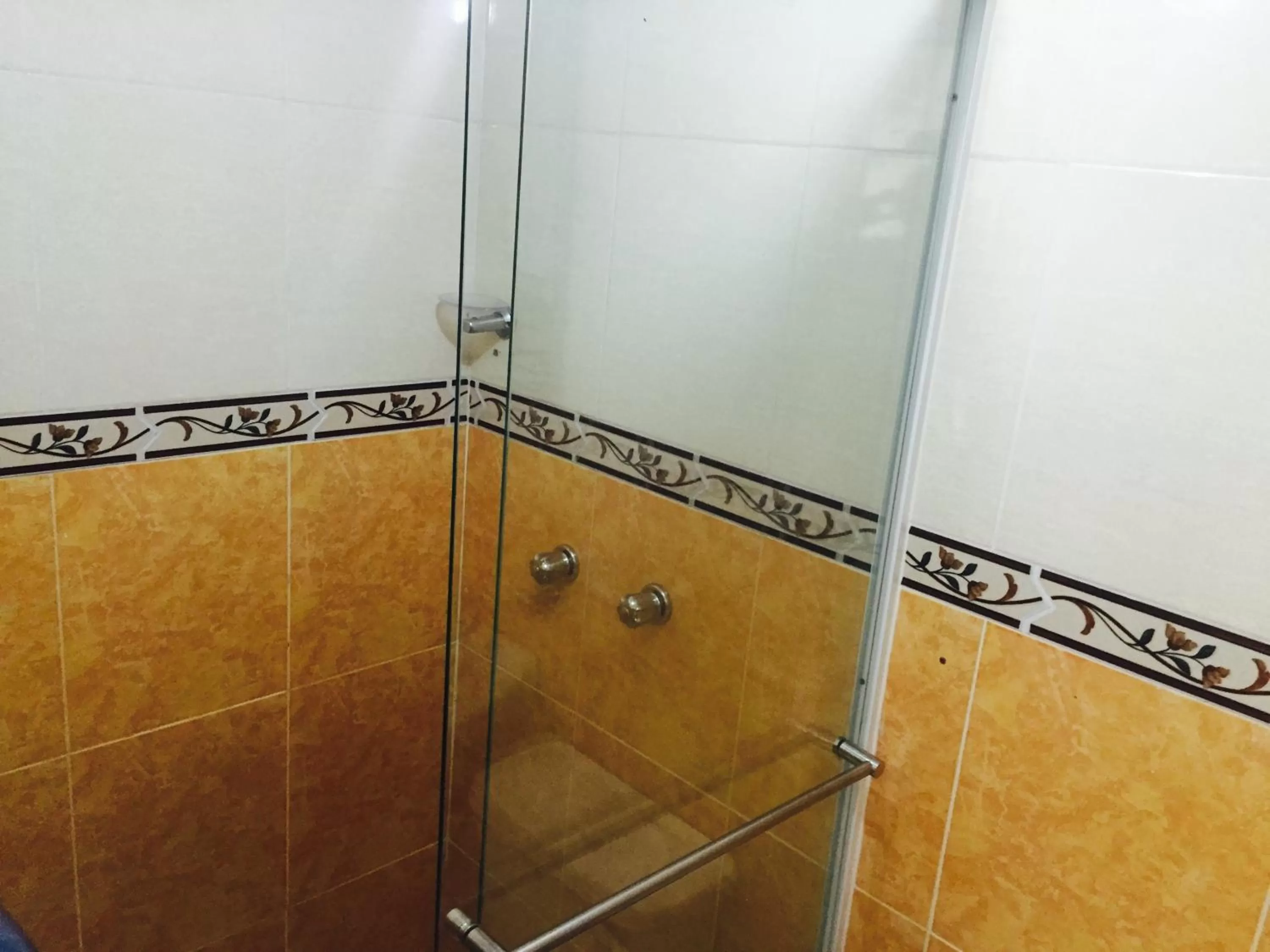 Shower in Hotel Preferencial Class