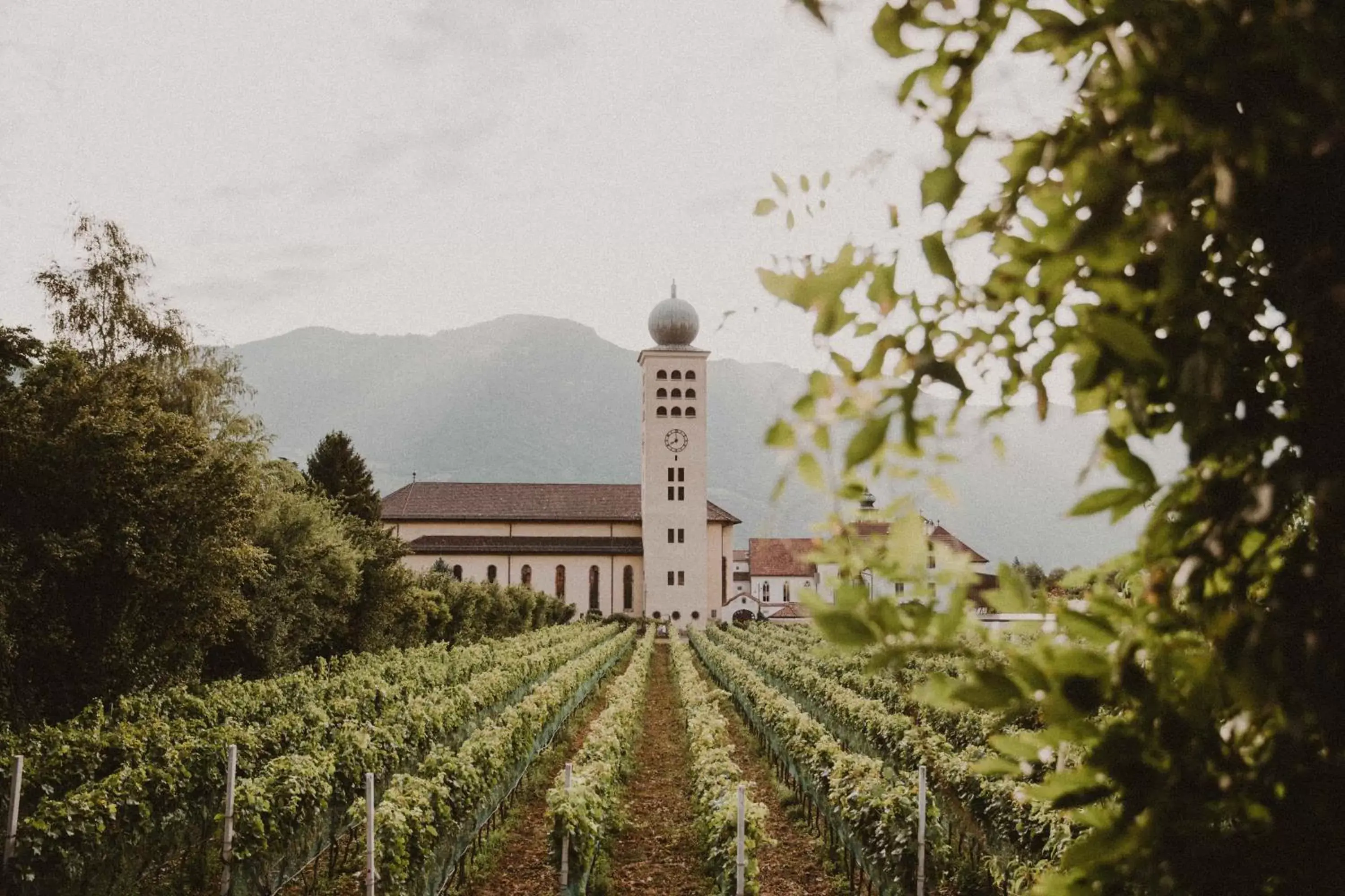 Garden view, Property Building in Hotel Schwarzschmied