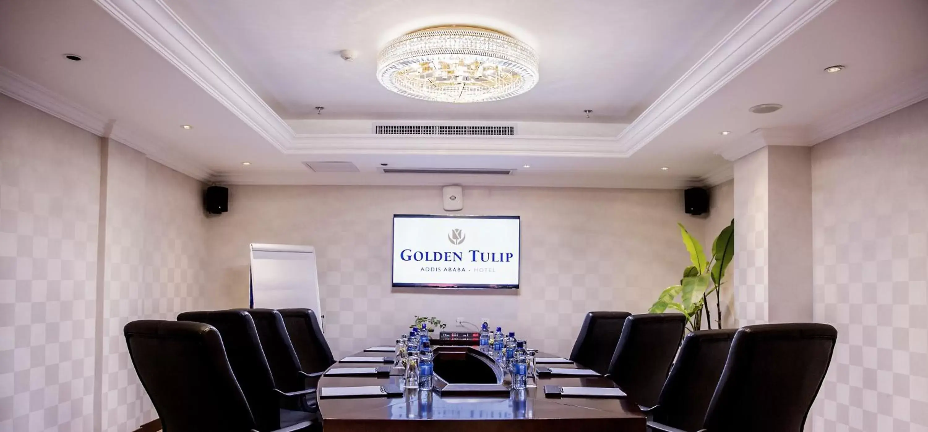 Business facilities, Business Area/Conference Room in Golden Tulip Addis Ababa