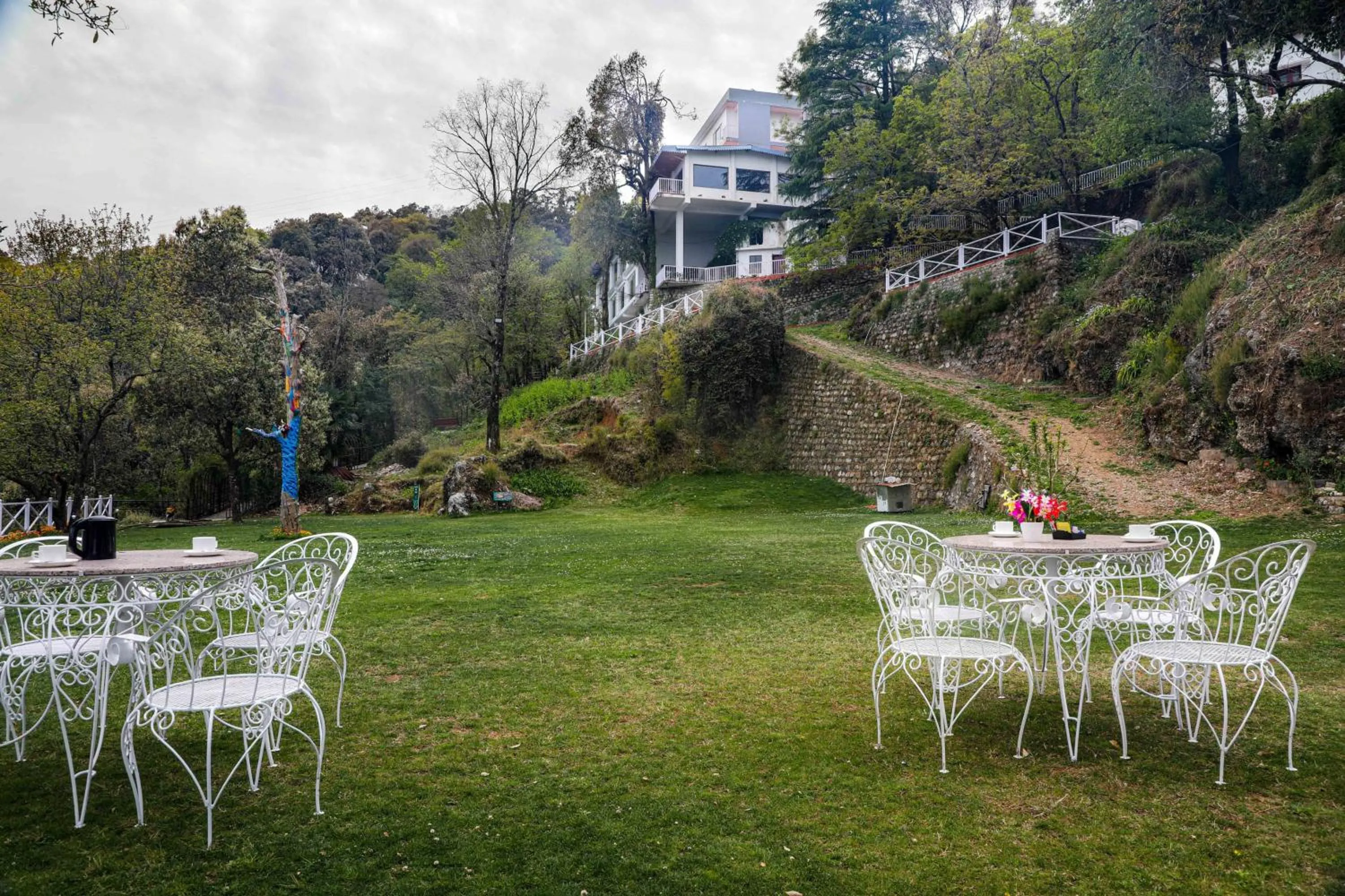 Spring in The Mountain Quail