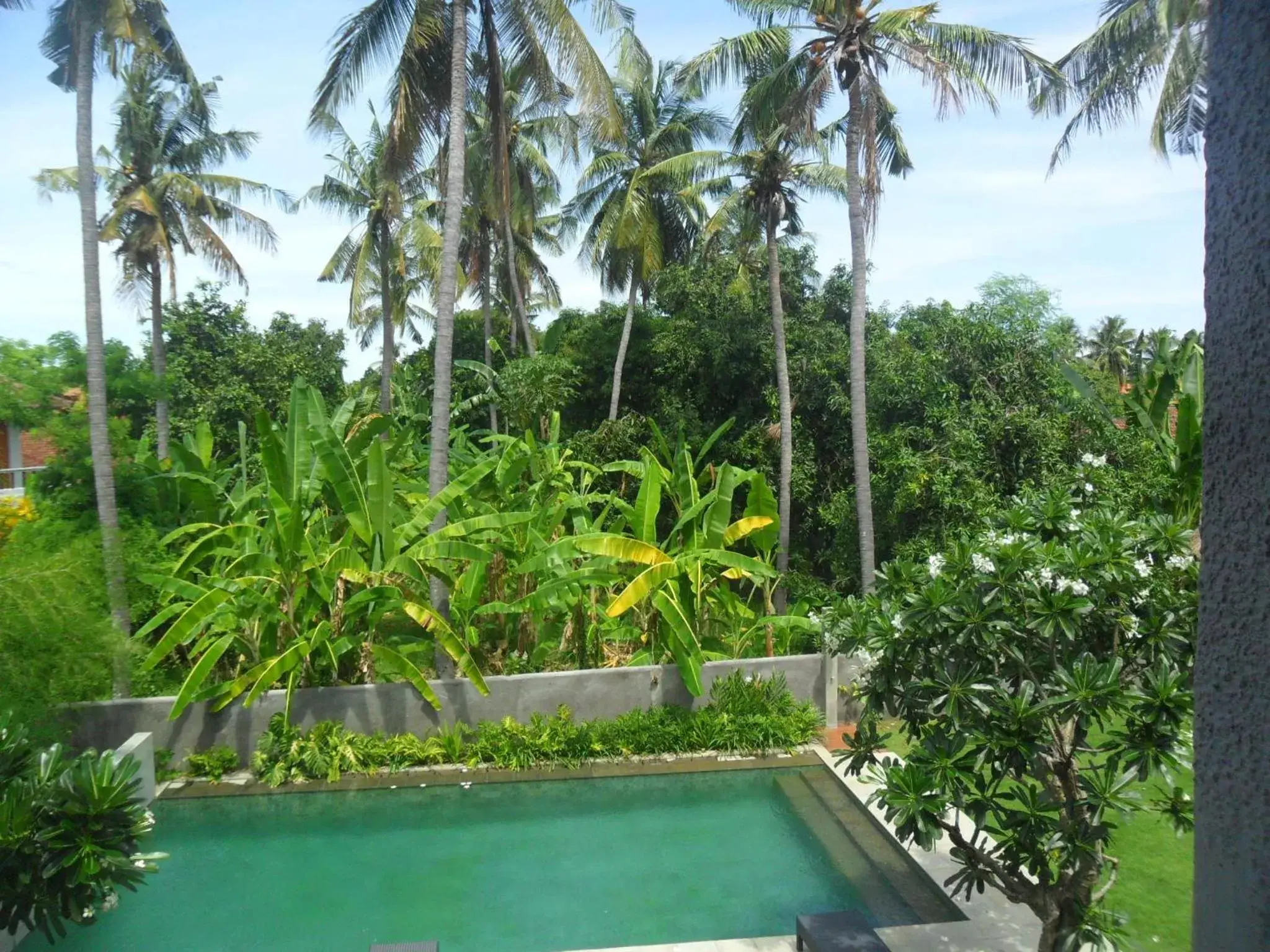 Area and facilities, Swimming Pool in Ju'Blu Hotel