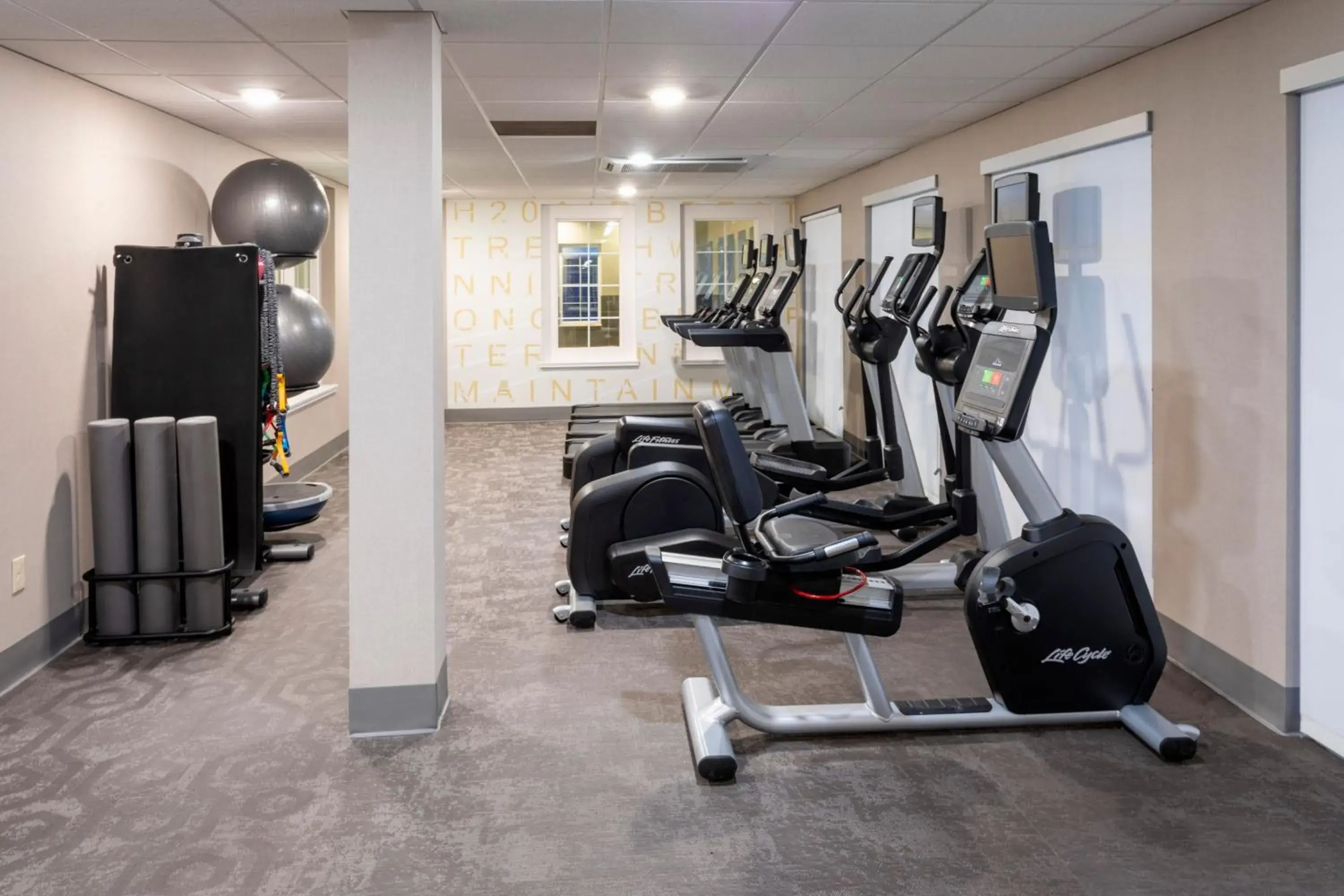 Fitness centre/facilities, Fitness Center/Facilities in Residence Inn Minneapolis St. Paul/Roseville