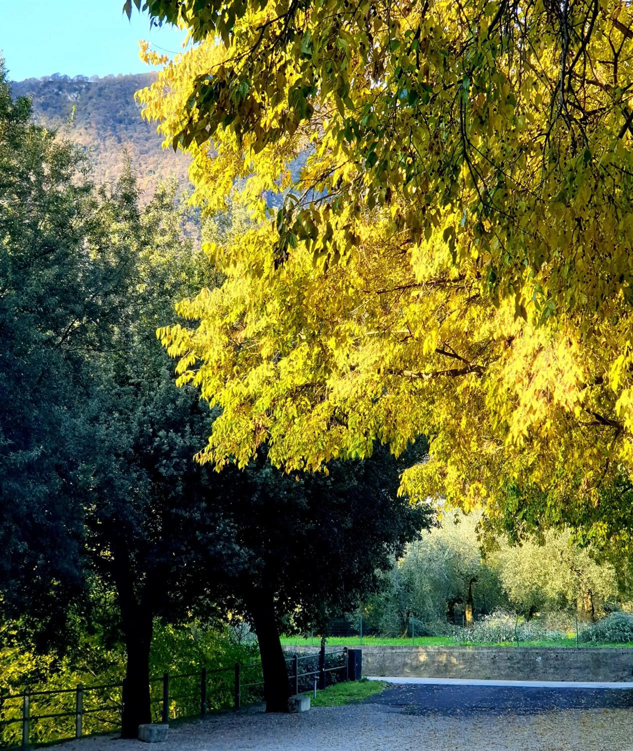 Autumn in La Berlera - Riva del Garda