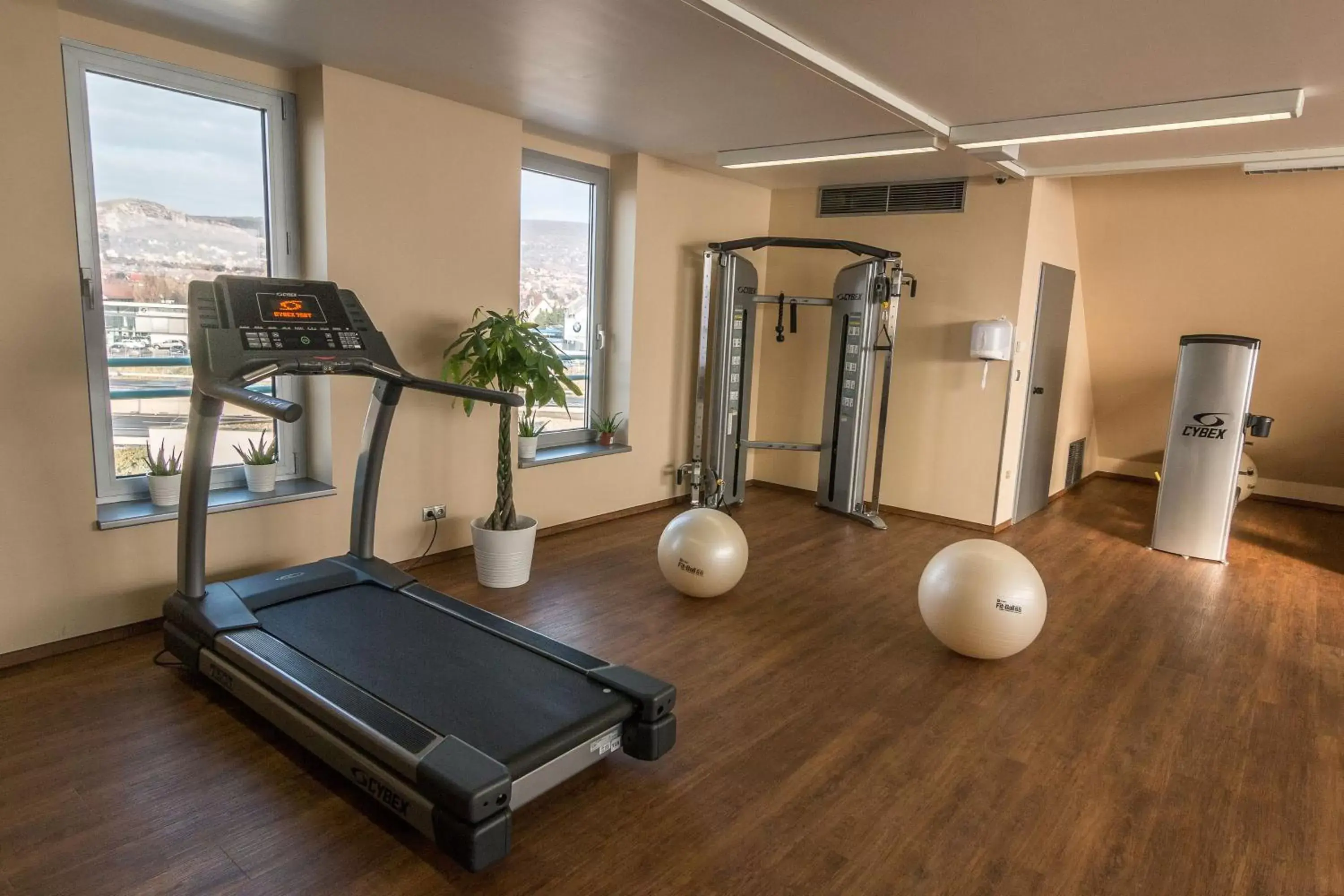 Fitness centre/facilities, Fitness Center/Facilities in Holiday Inn Budapest-Budaörs, an IHG Hotel