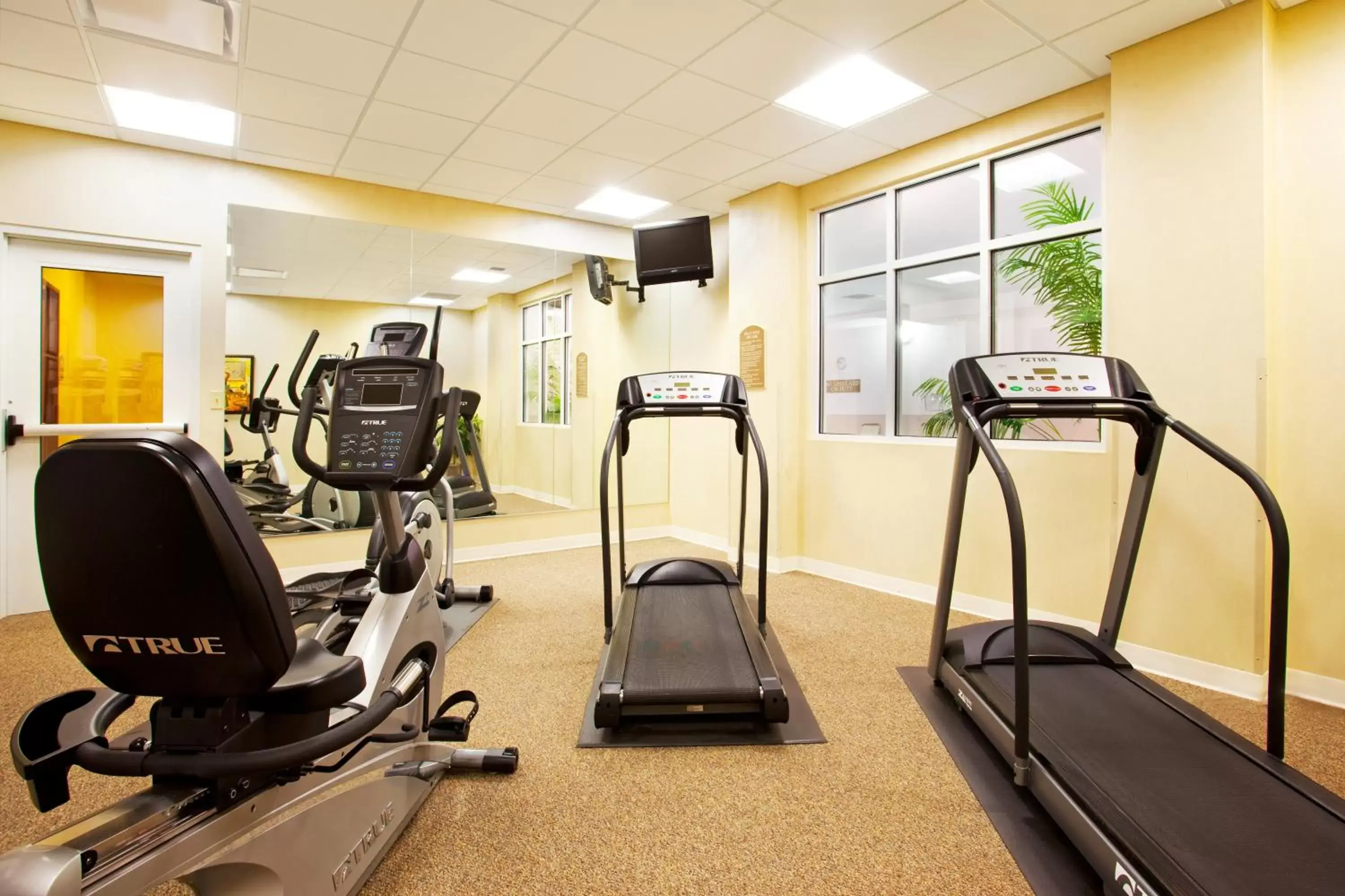 Fitness centre/facilities, Fitness Center/Facilities in Holiday Inn Battle Creek, an IHG Hotel