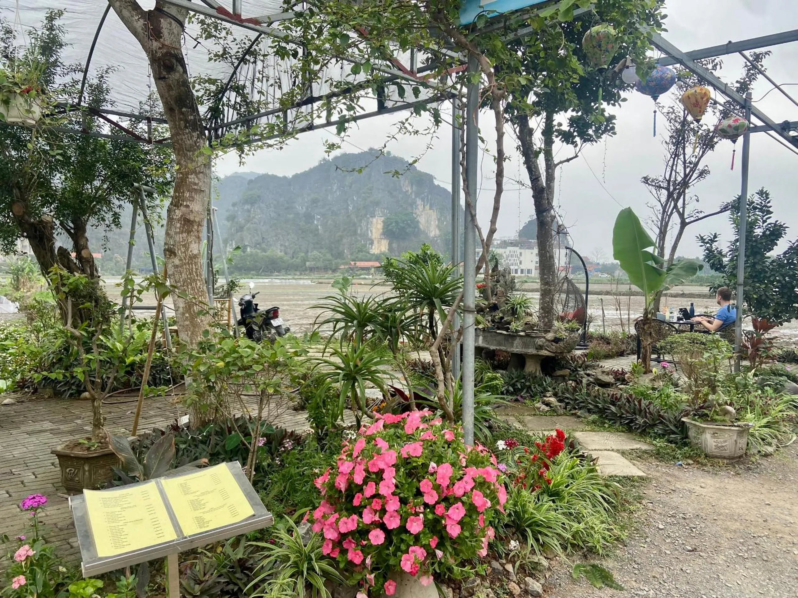 Tam Coc Mountain View Homestay
