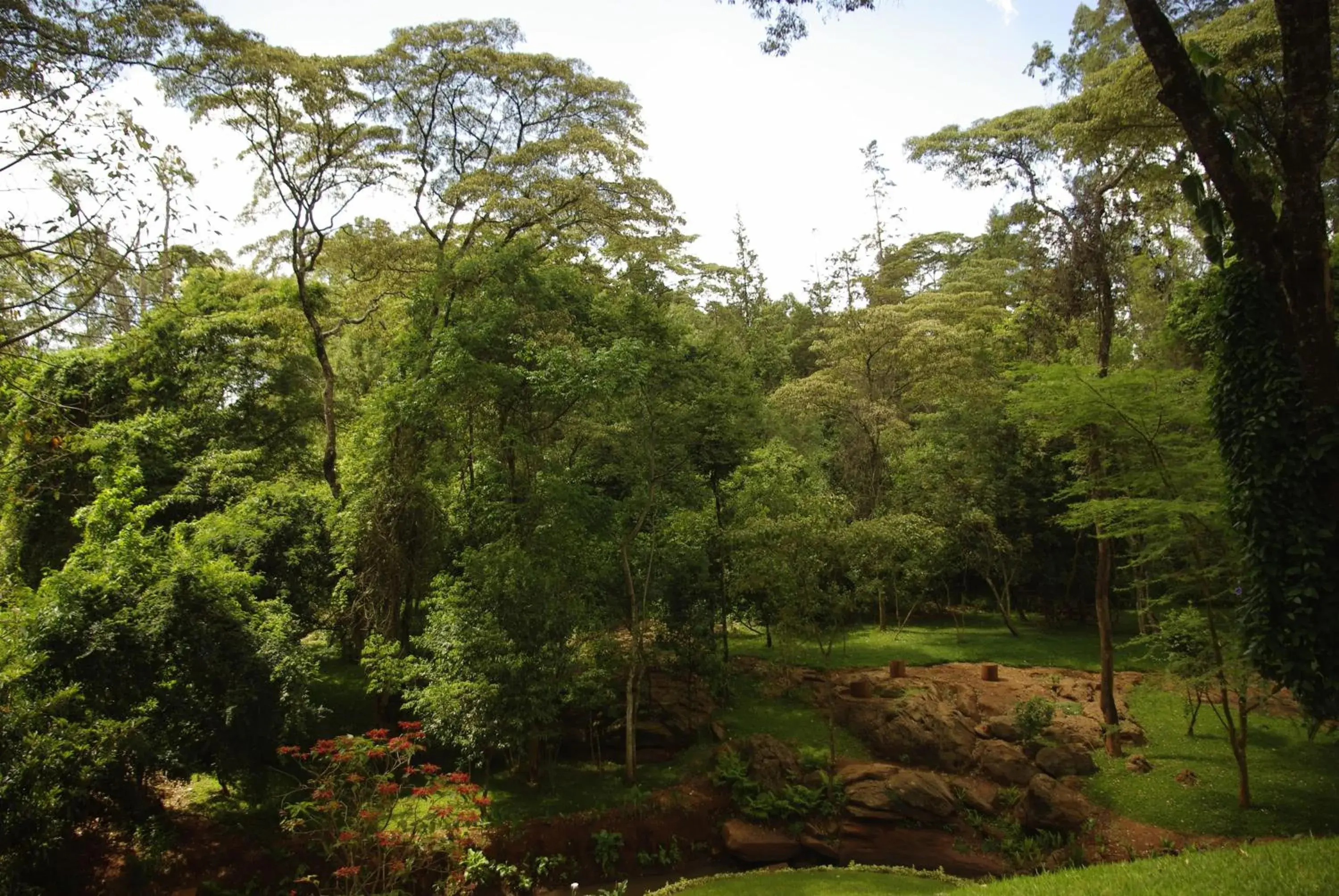 Garden in West Wood Hotel