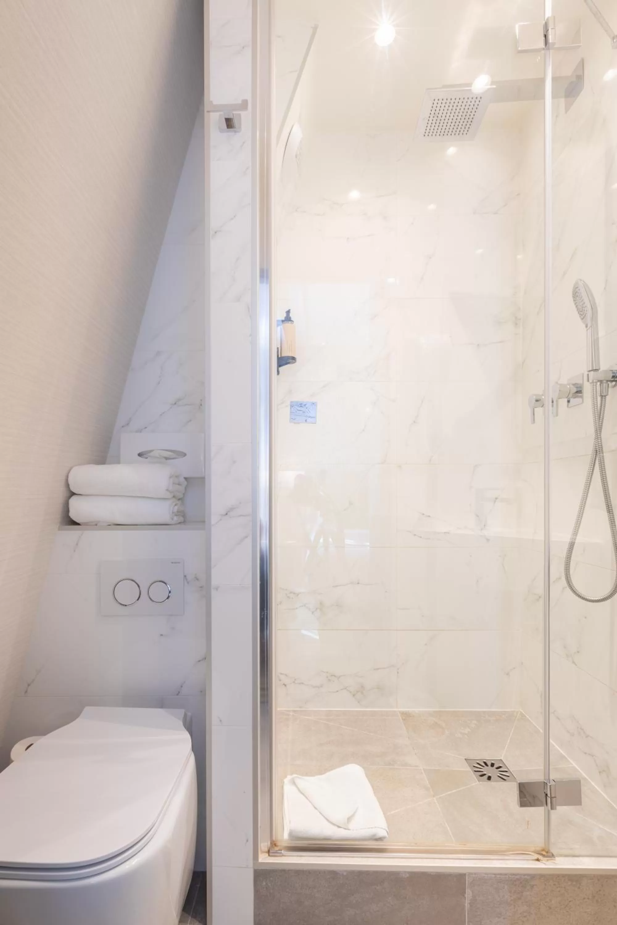 Shower in Prince Albert Lyon Bercy