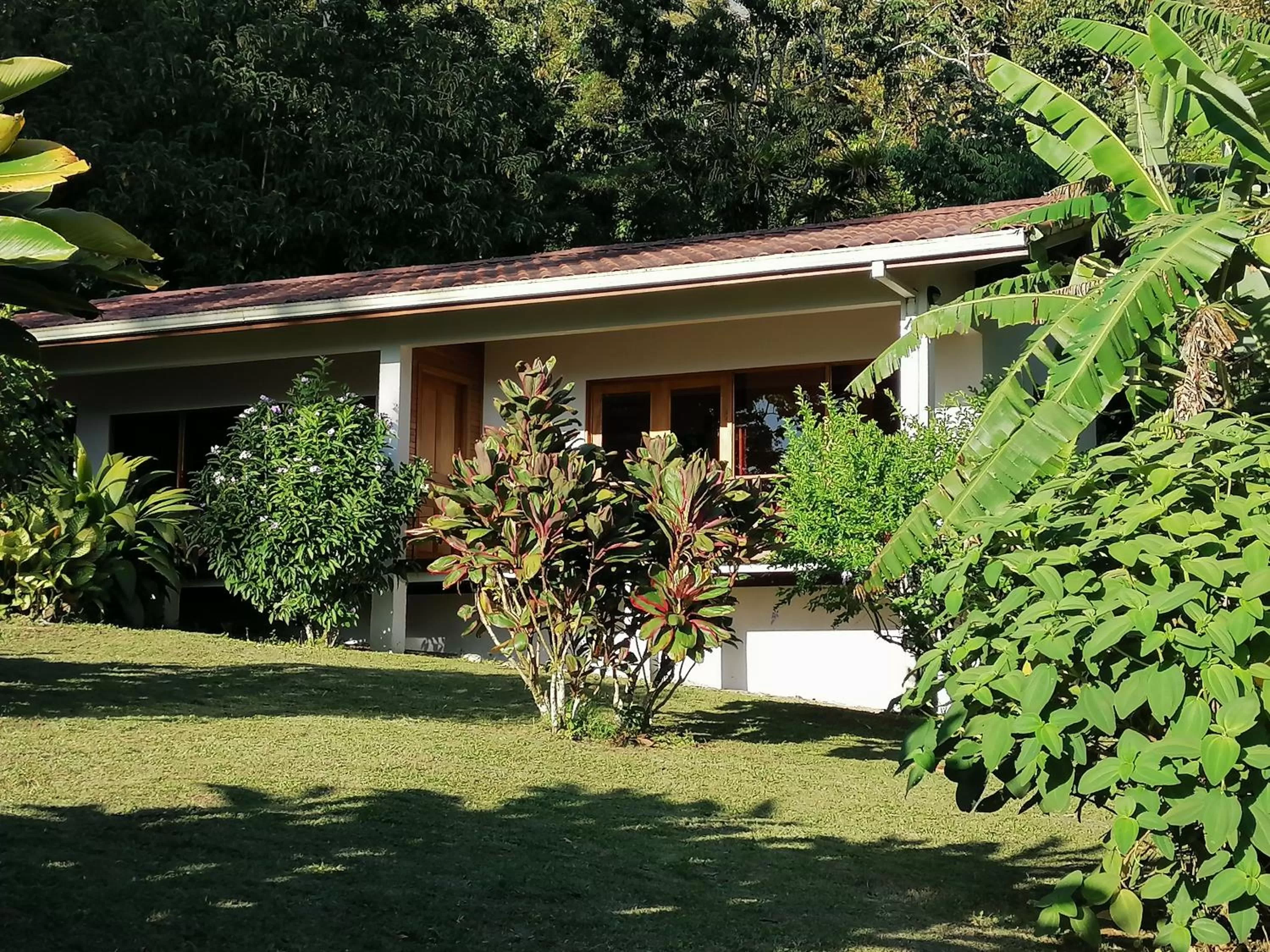 Property Building in La Ceiba Tree Lodge
