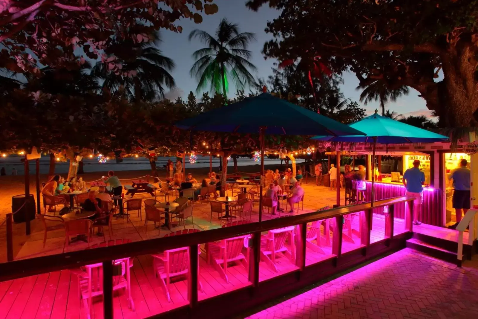 Lounge or bar in Coconut Court Beach Hotel