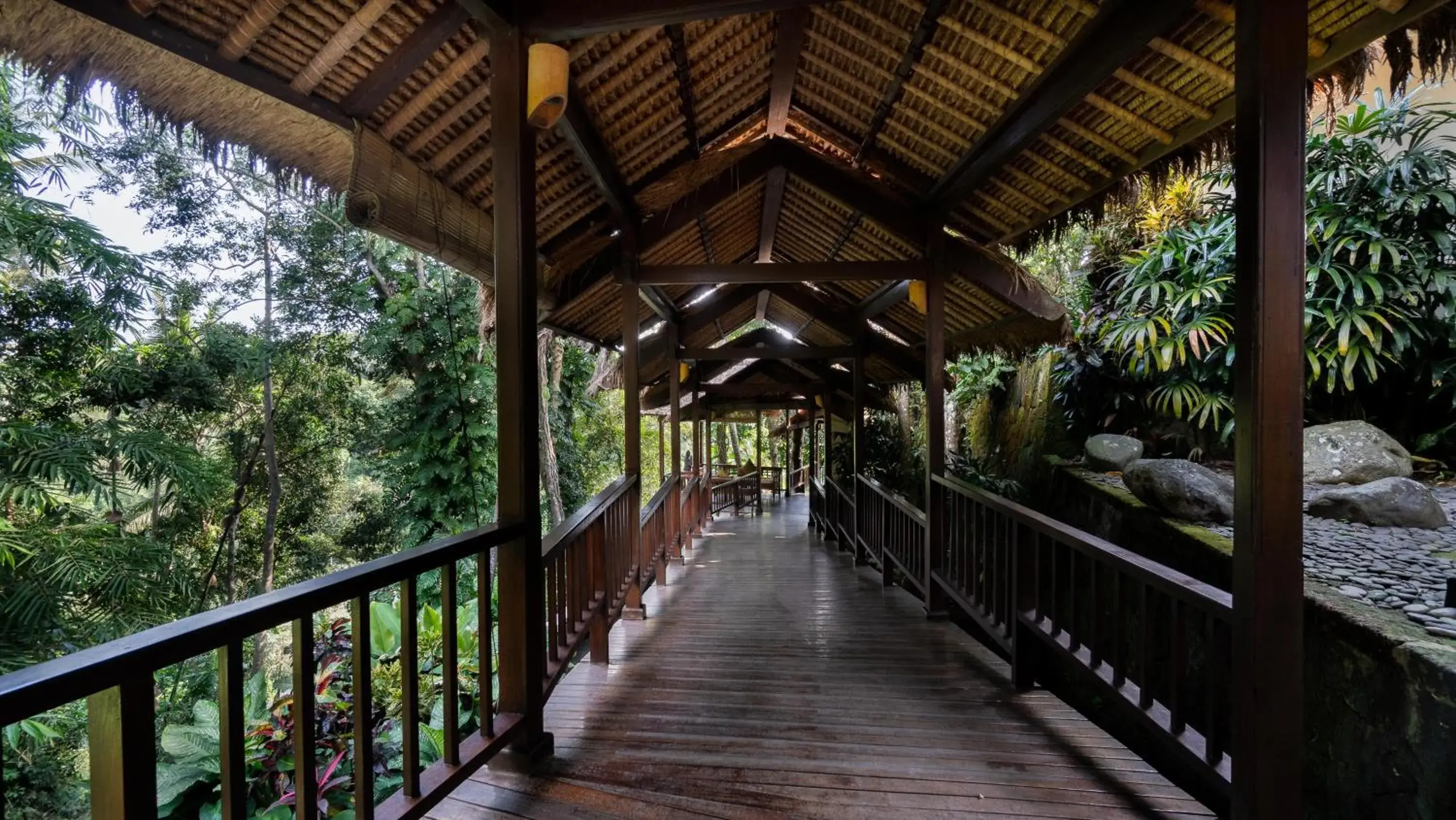 View (from property/room), Balcony/Terrace in Natura Resort and Spa