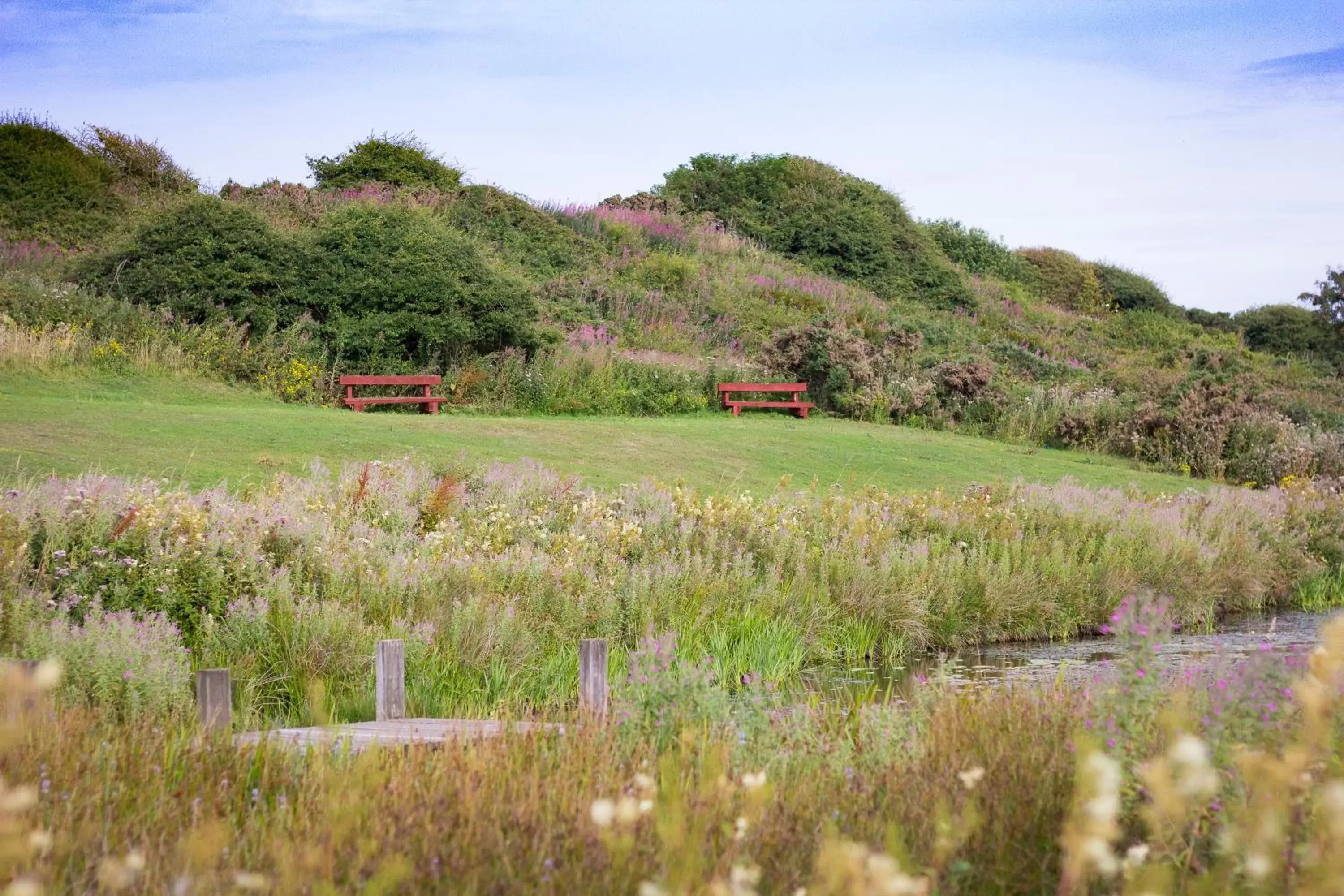 Natural landscape in The Bay Filey