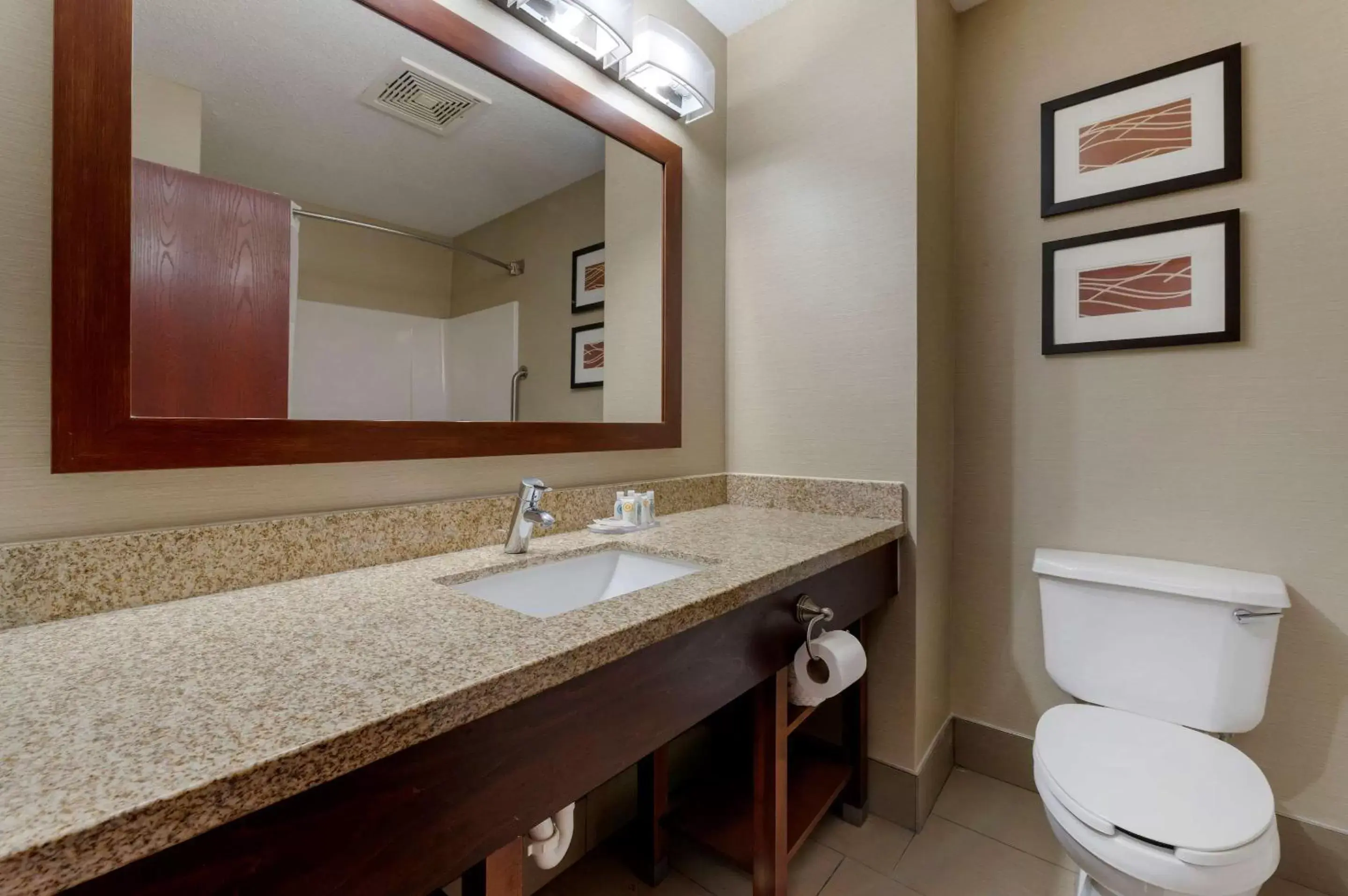 Bathroom in Comfort Inn East Pickerington