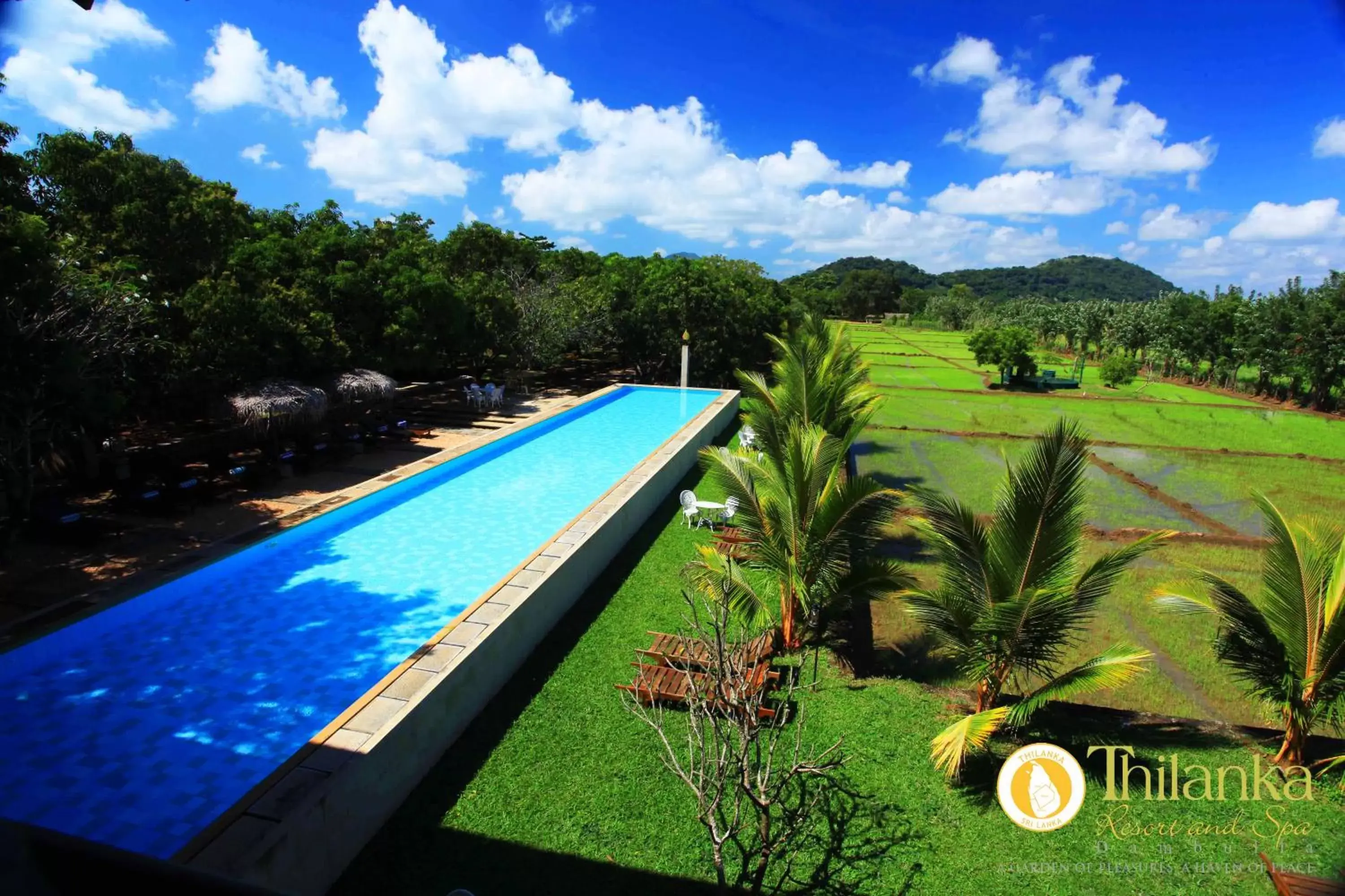 Swimming pool, Pool View in Sigiriana Resort by Thilanka