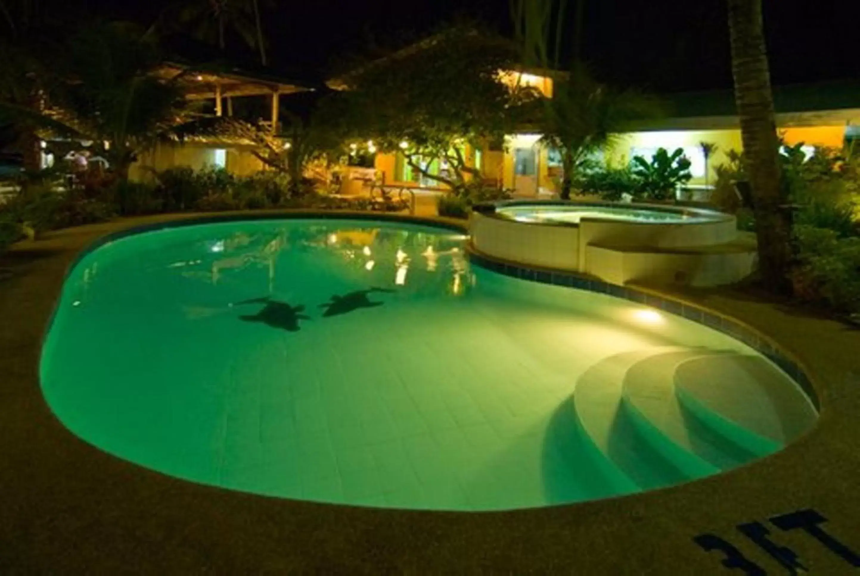 Swimming pool in Lost Horizon Beach Dive Resort Swimming pool in Lost Horizon Beach Dive Resort