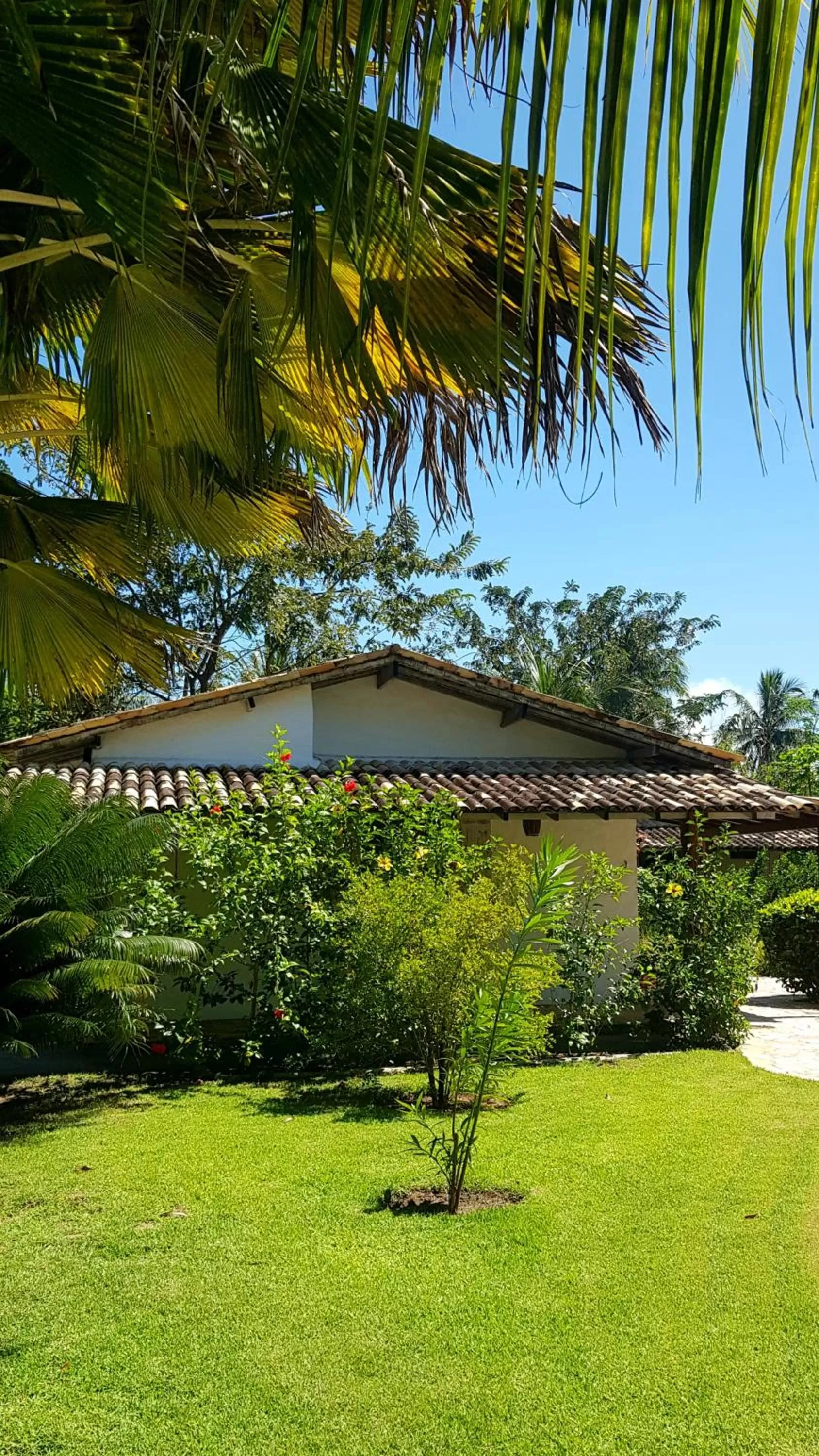 Garden in Pousada Villages Boutique Hotel - 150m da Praia da Laje