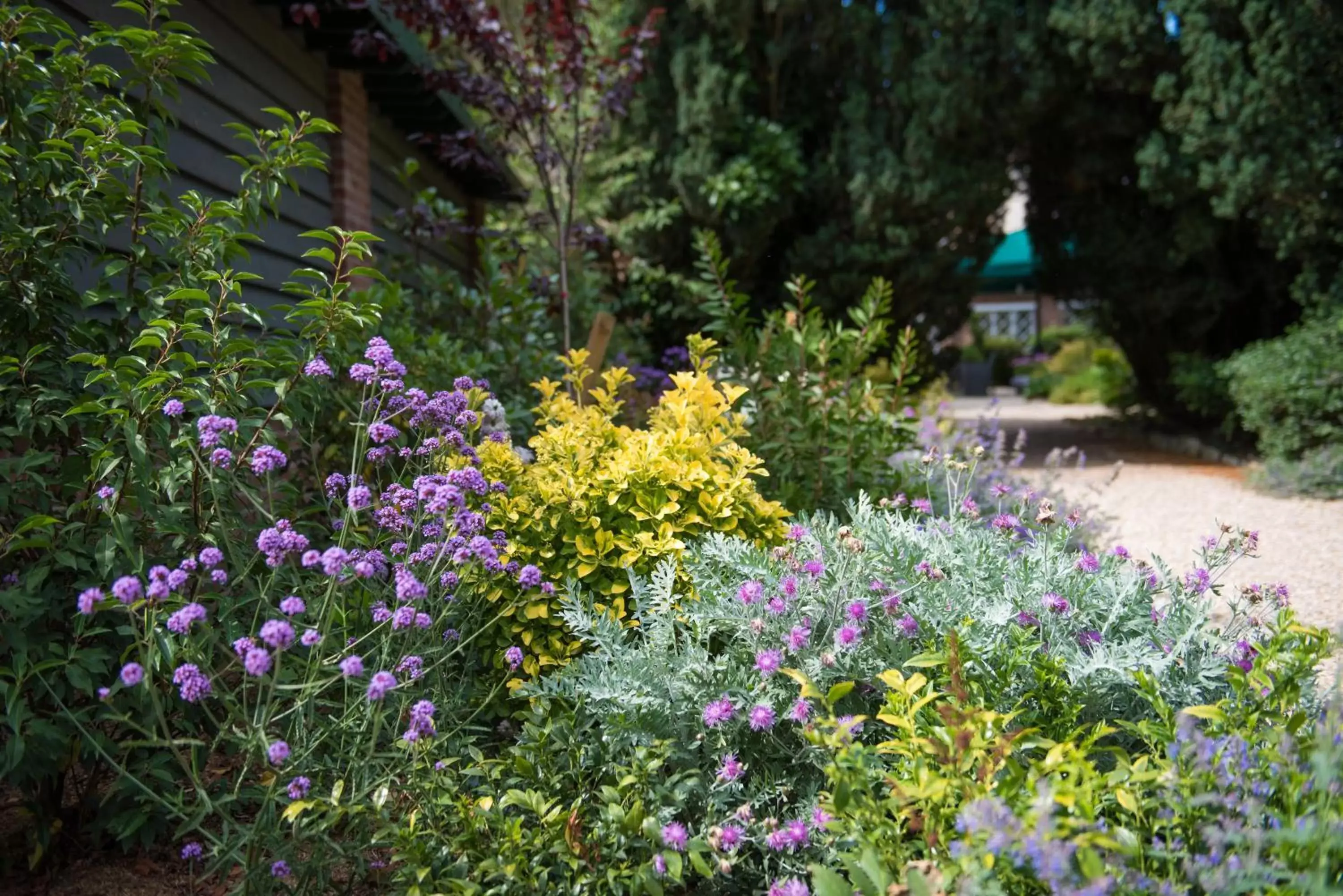 Garden in The Eastbury & Spa