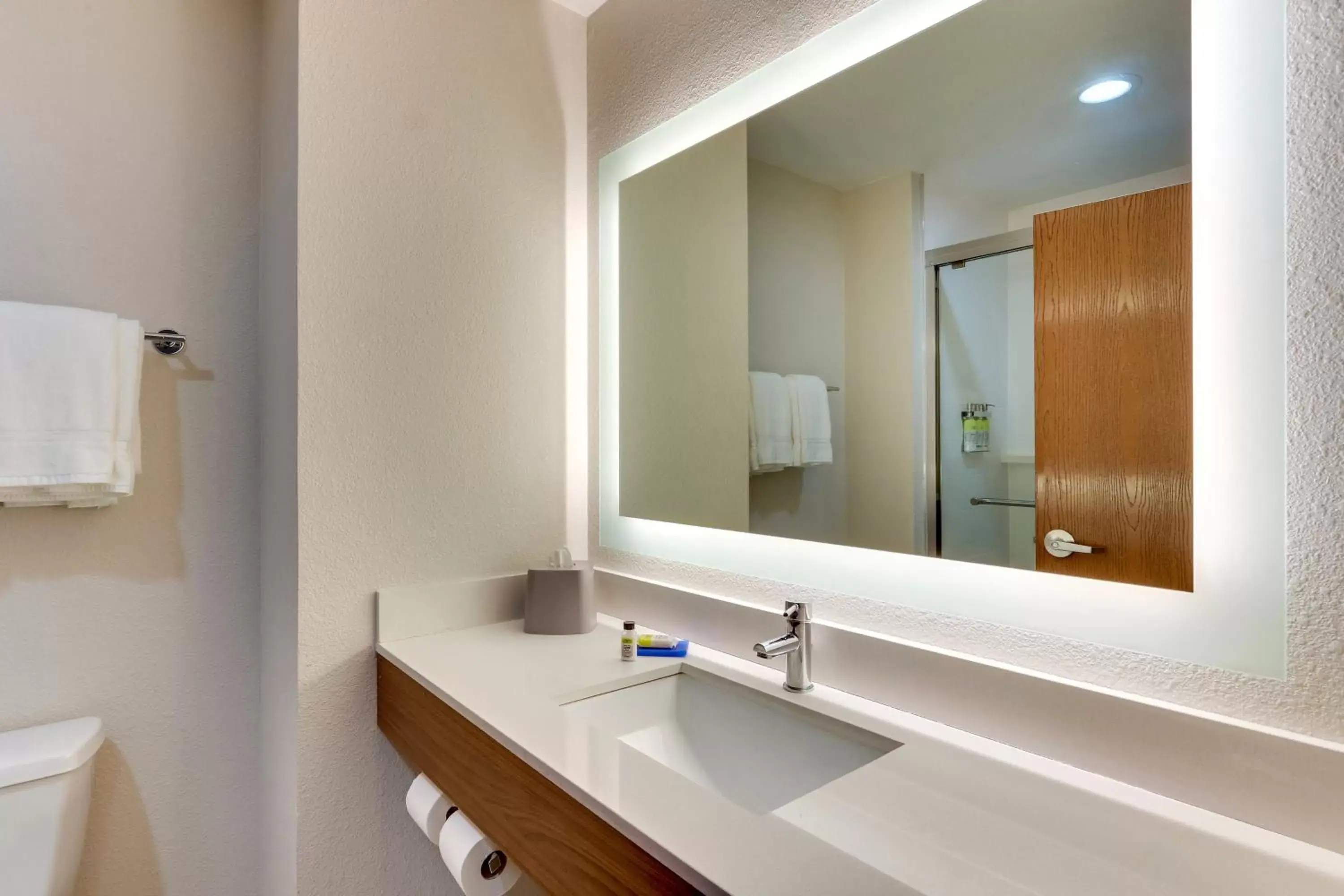 Photo of the whole room, Bathroom in Holiday Inn Express Lake Worth NW Loop 820, an IHG Hotel