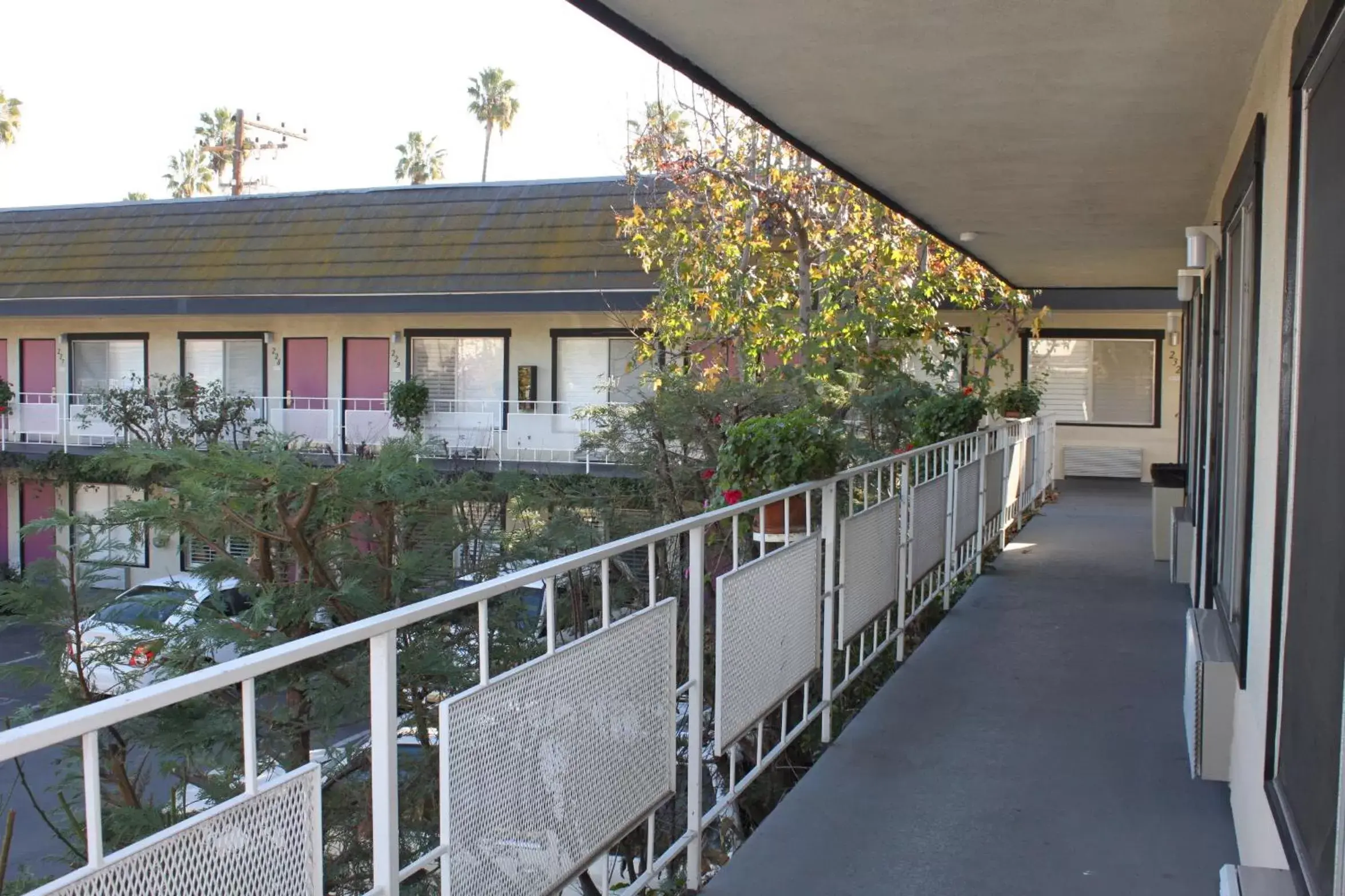 Balcony/Terrace in Alamo Inn and Suites - Convention Center