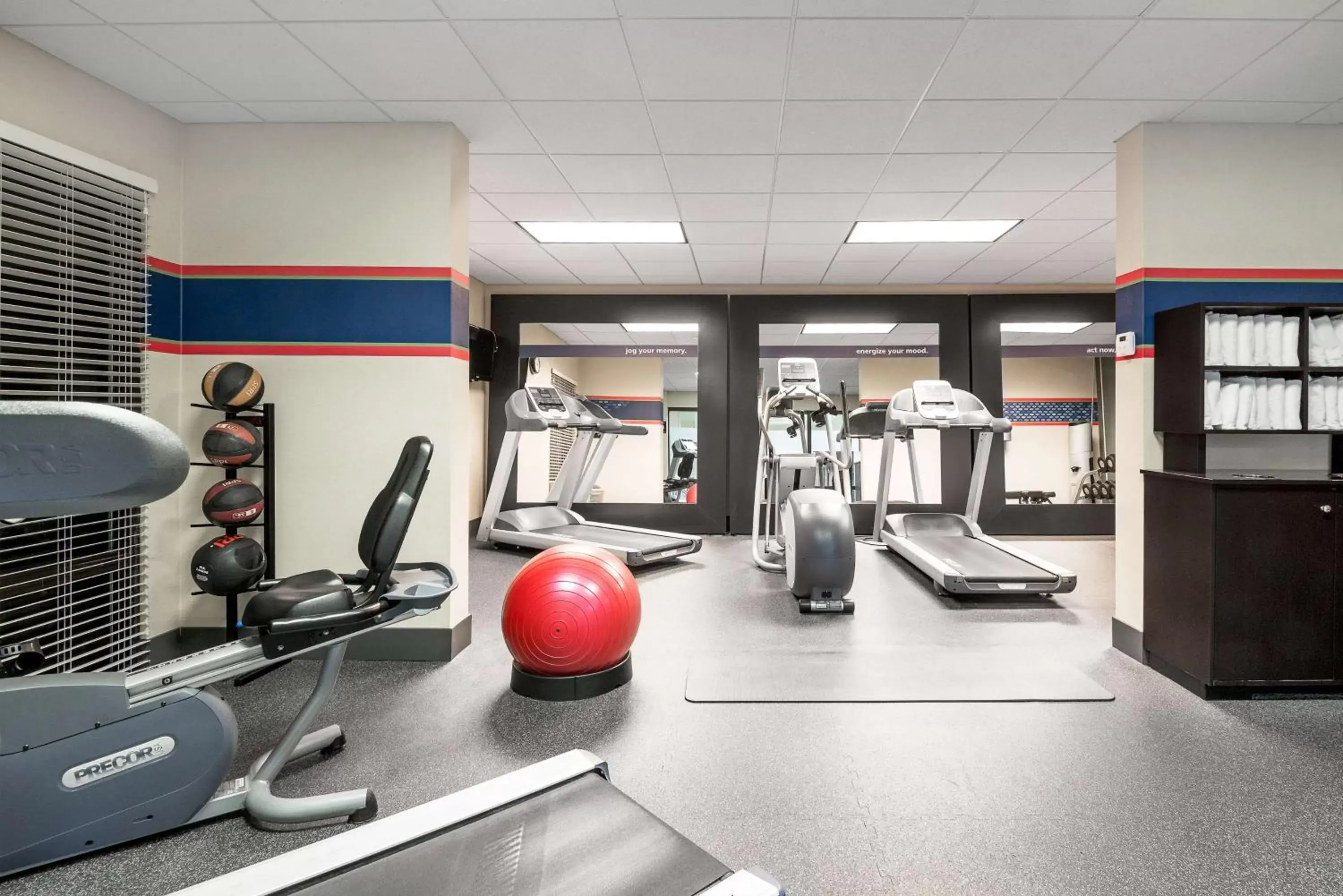 Fitness centre/facilities, Fitness Center/Facilities in Hampton Inn Roanoke/Hollins - I-81