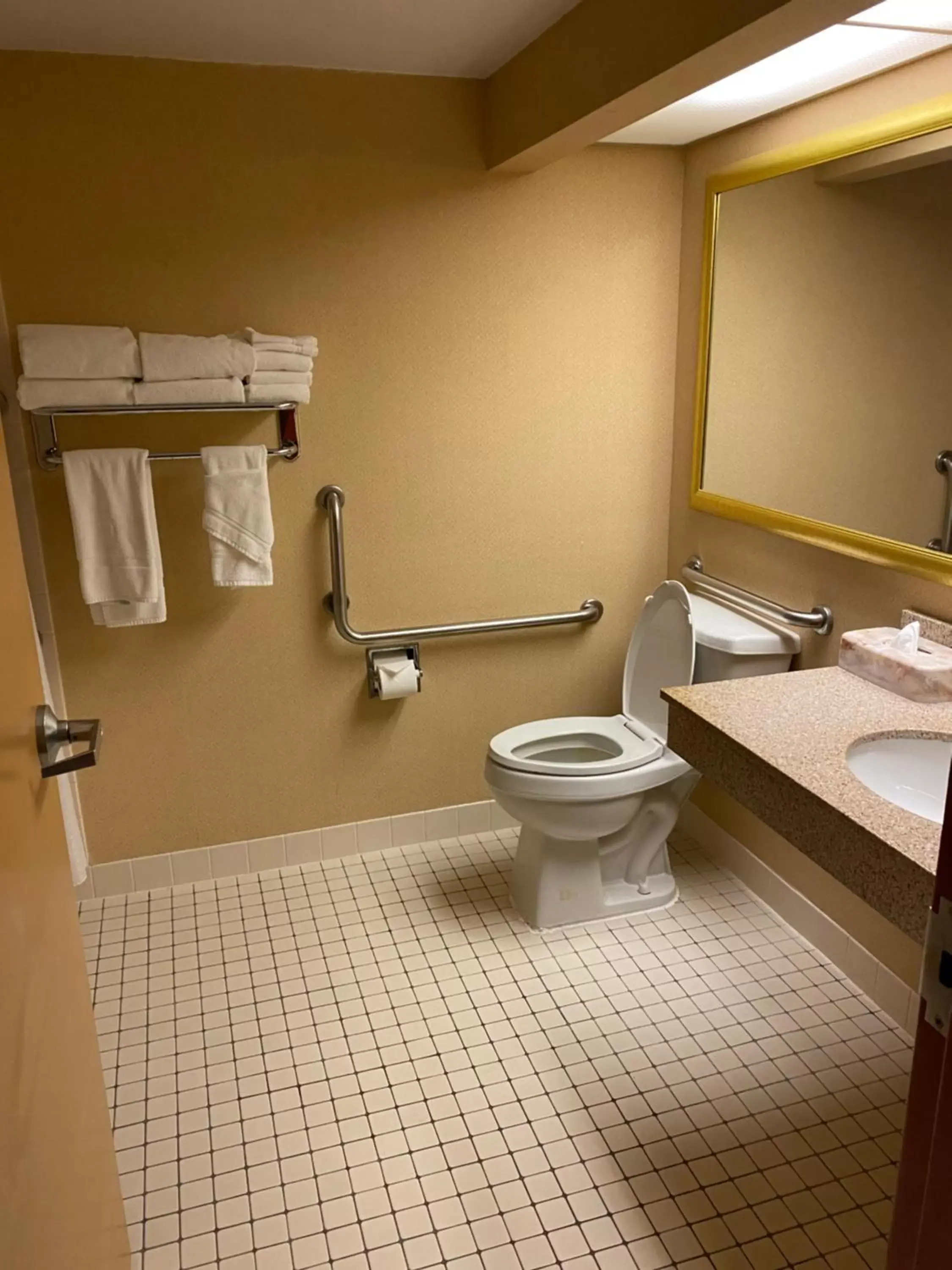 Bathroom in Holiday Inn Austin Conference Center, an IHG Hotel