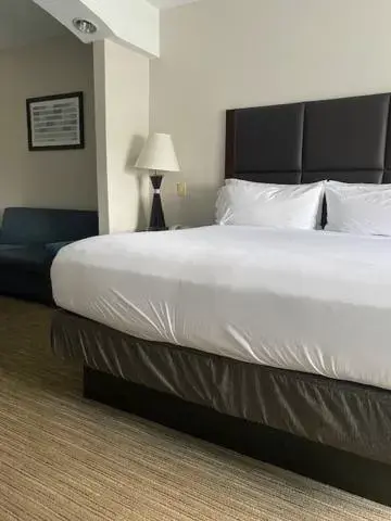 Bed in Holiday Inn Express Hotel & Suites Hinesville, an IHG Hotel