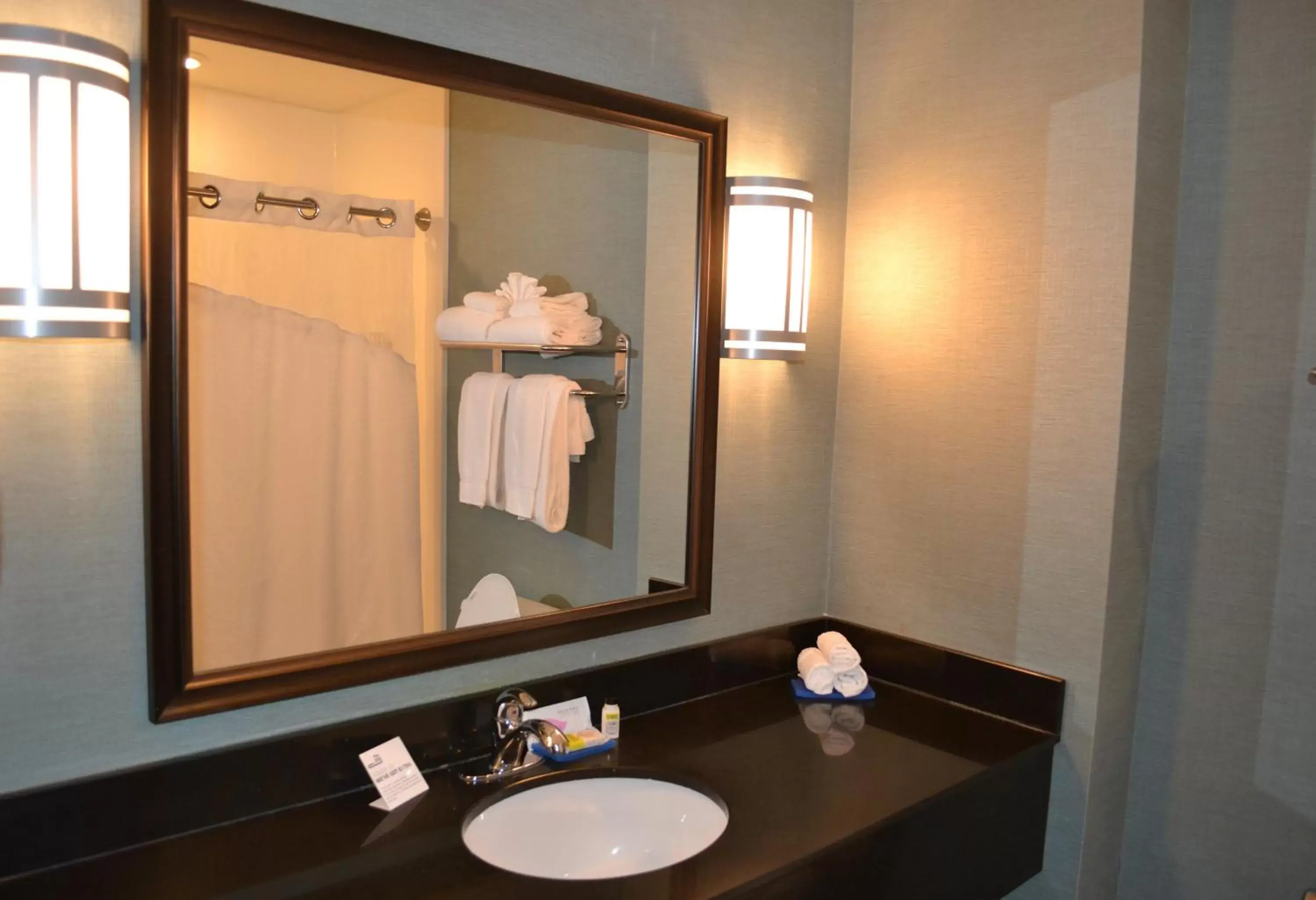 Bathroom in Holiday Inn Express Selinsgrove, an IHG Hotel