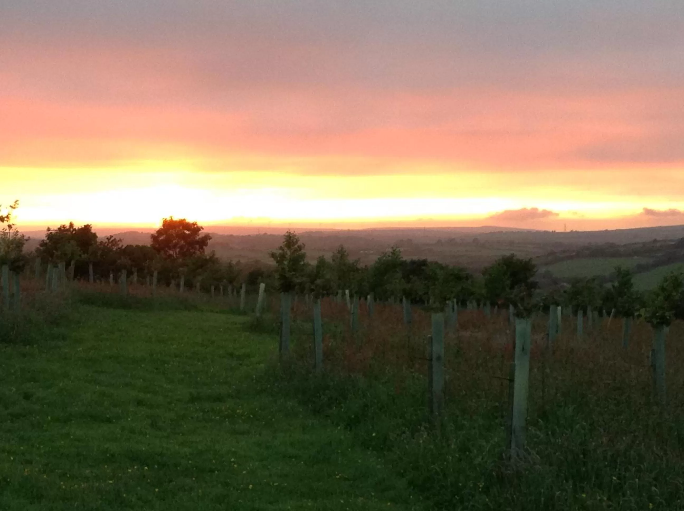 Winter in Treganoon House, Lanlivery