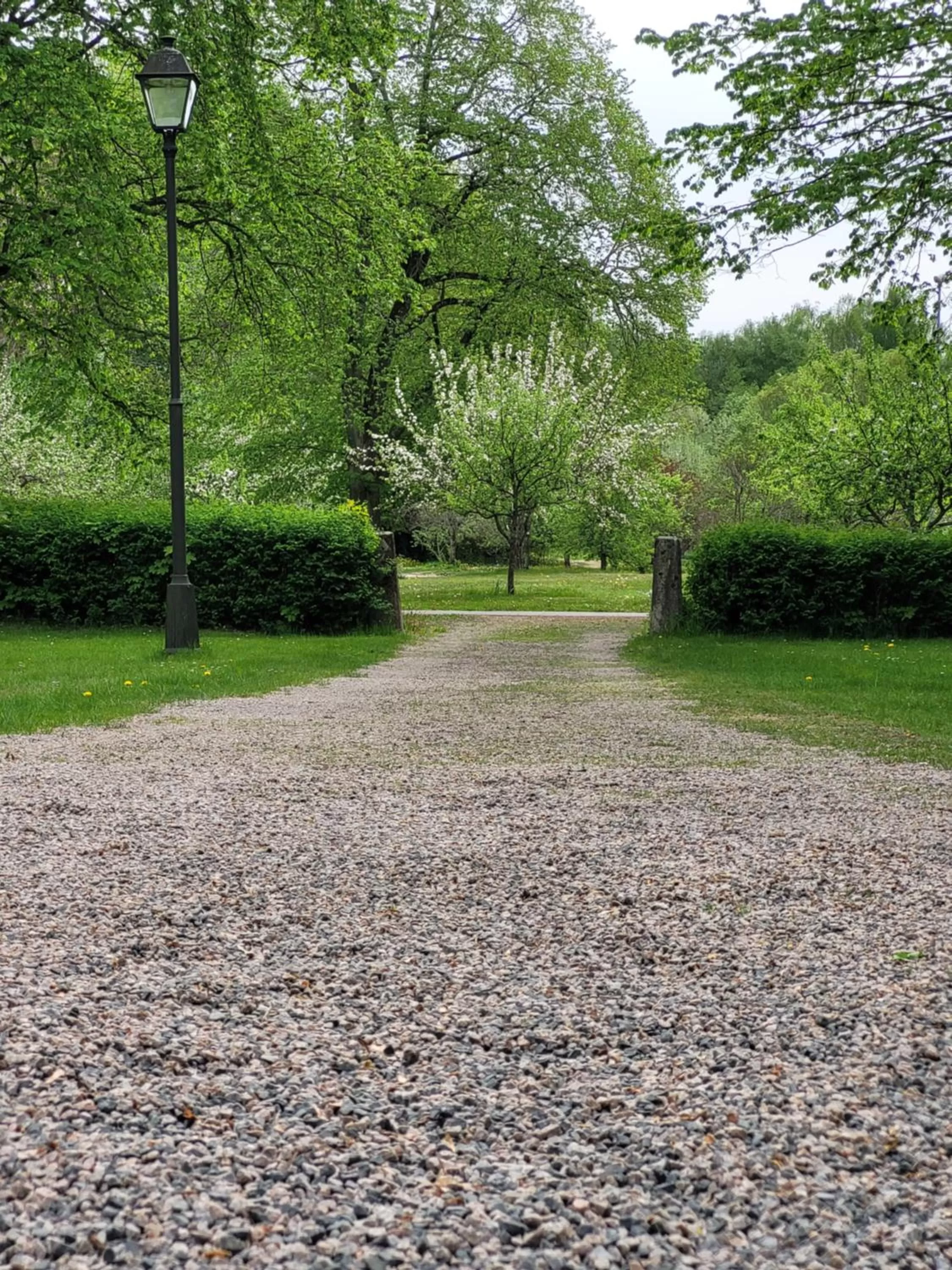 View (from property/room) in KvarnDammens Bed & Breakfast